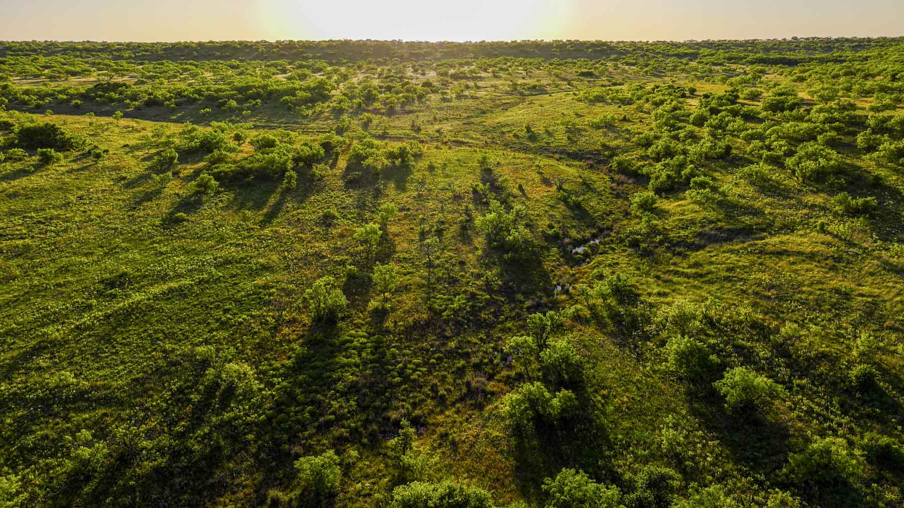 La Mariposa Ranch property picture 47 of 94