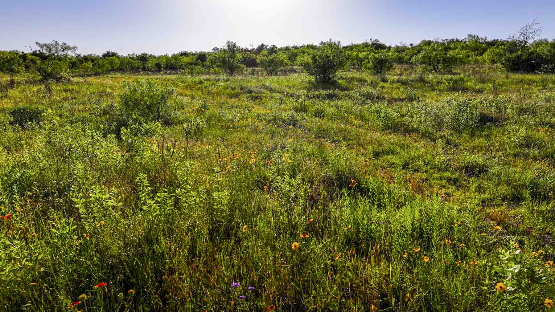 La Mariposa Ranch property picture 54 of 94