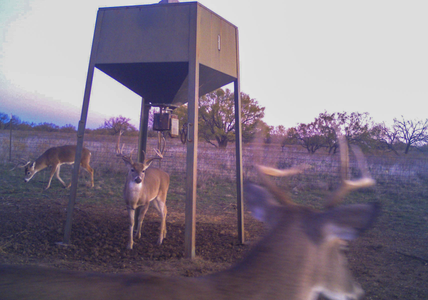 La Mariposa Ranch property picture 44 of 94