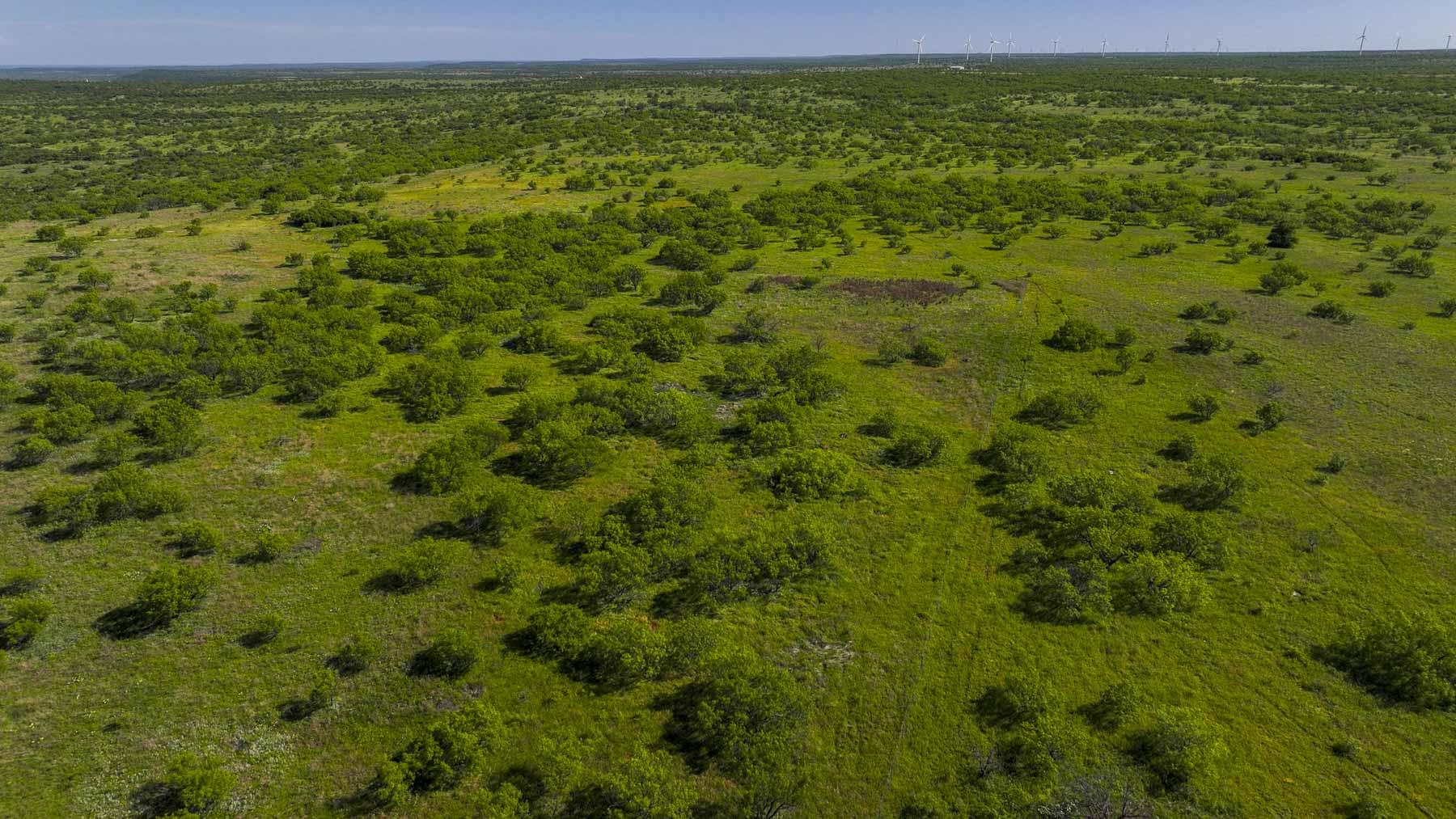 La Mariposa Ranch property picture 14 of 94