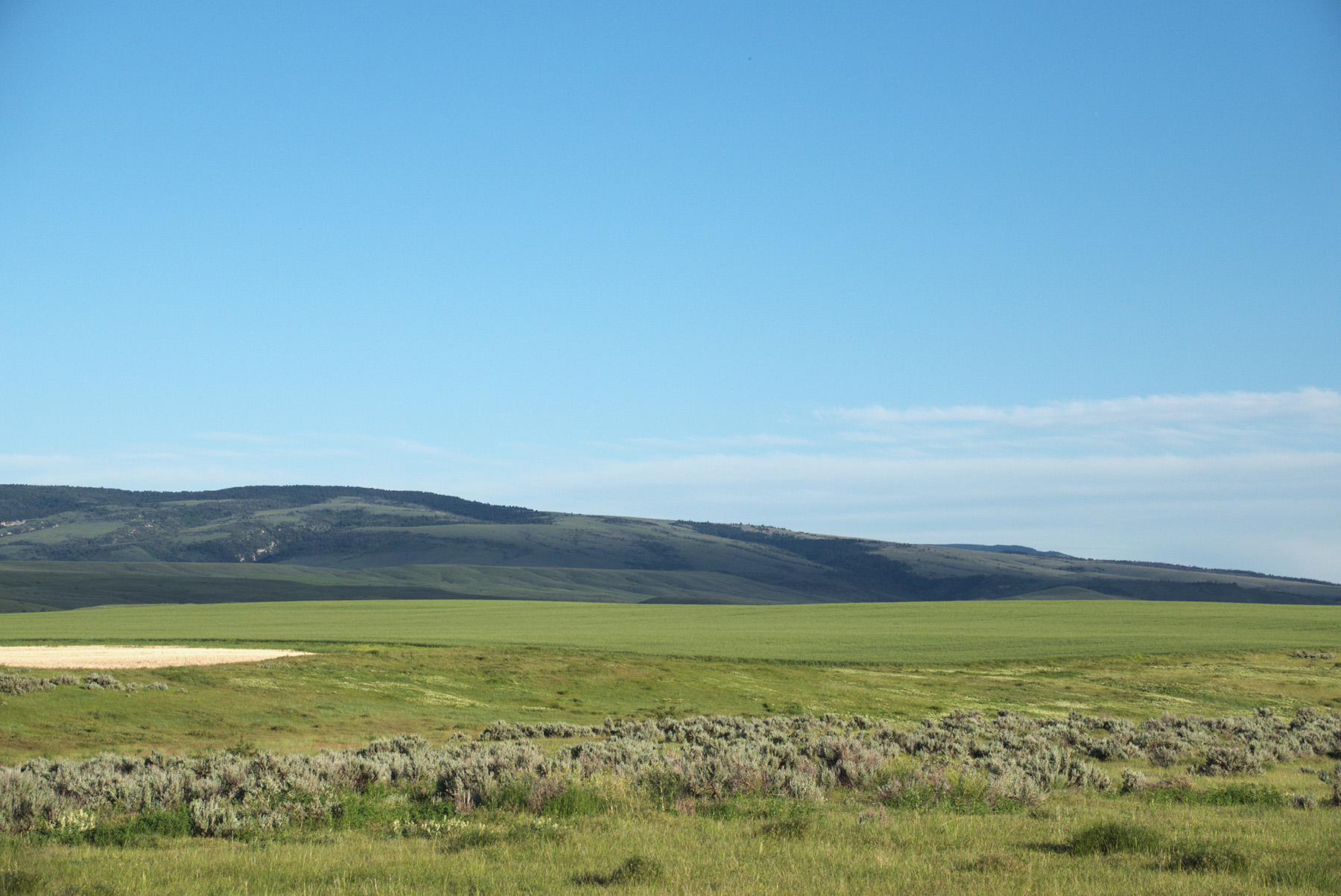 Steinmetz Farm property picture 10 of 28