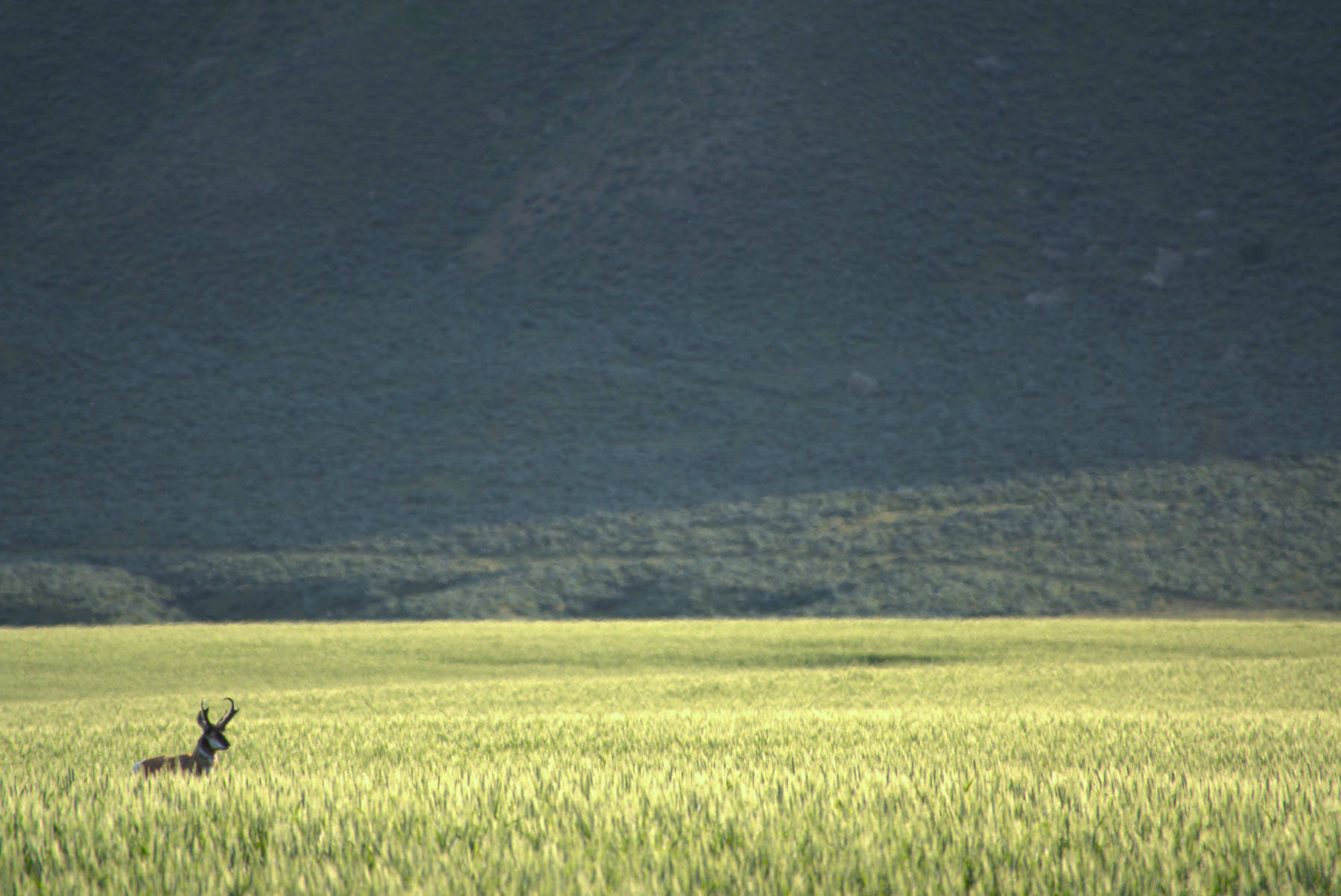 Steinmetz Farm property picture 24 of 28