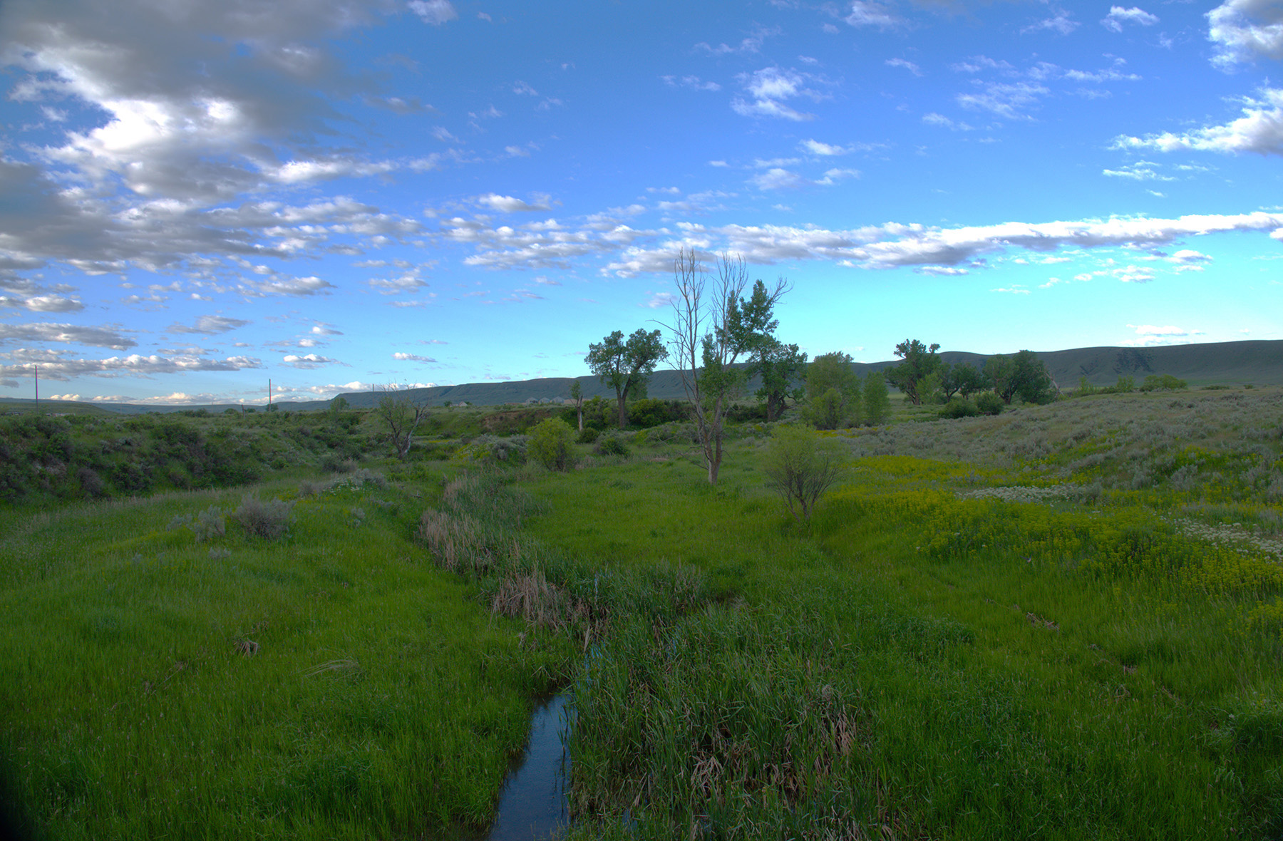 Steinmetz Farm property picture 20 of 28