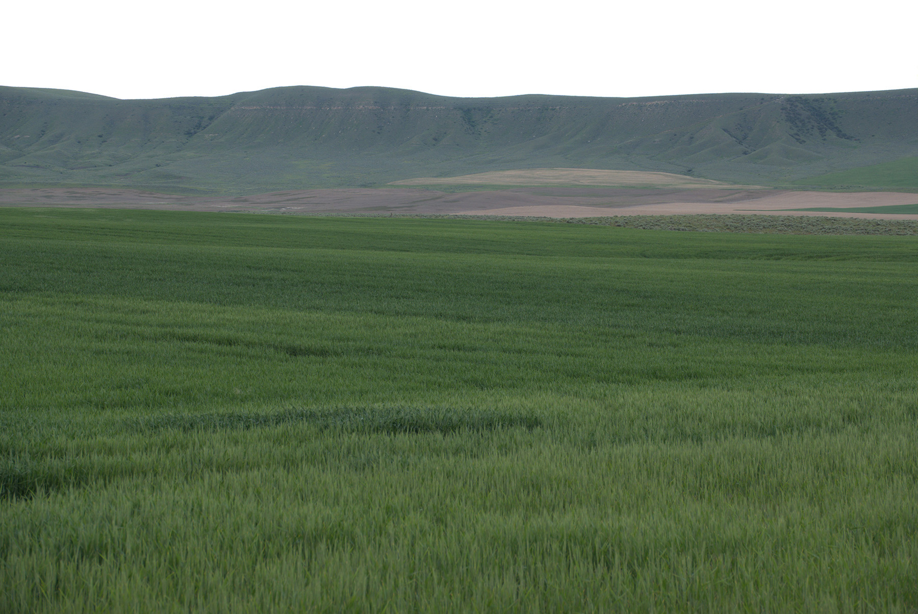 Steinmetz Farm property picture 21 of 28