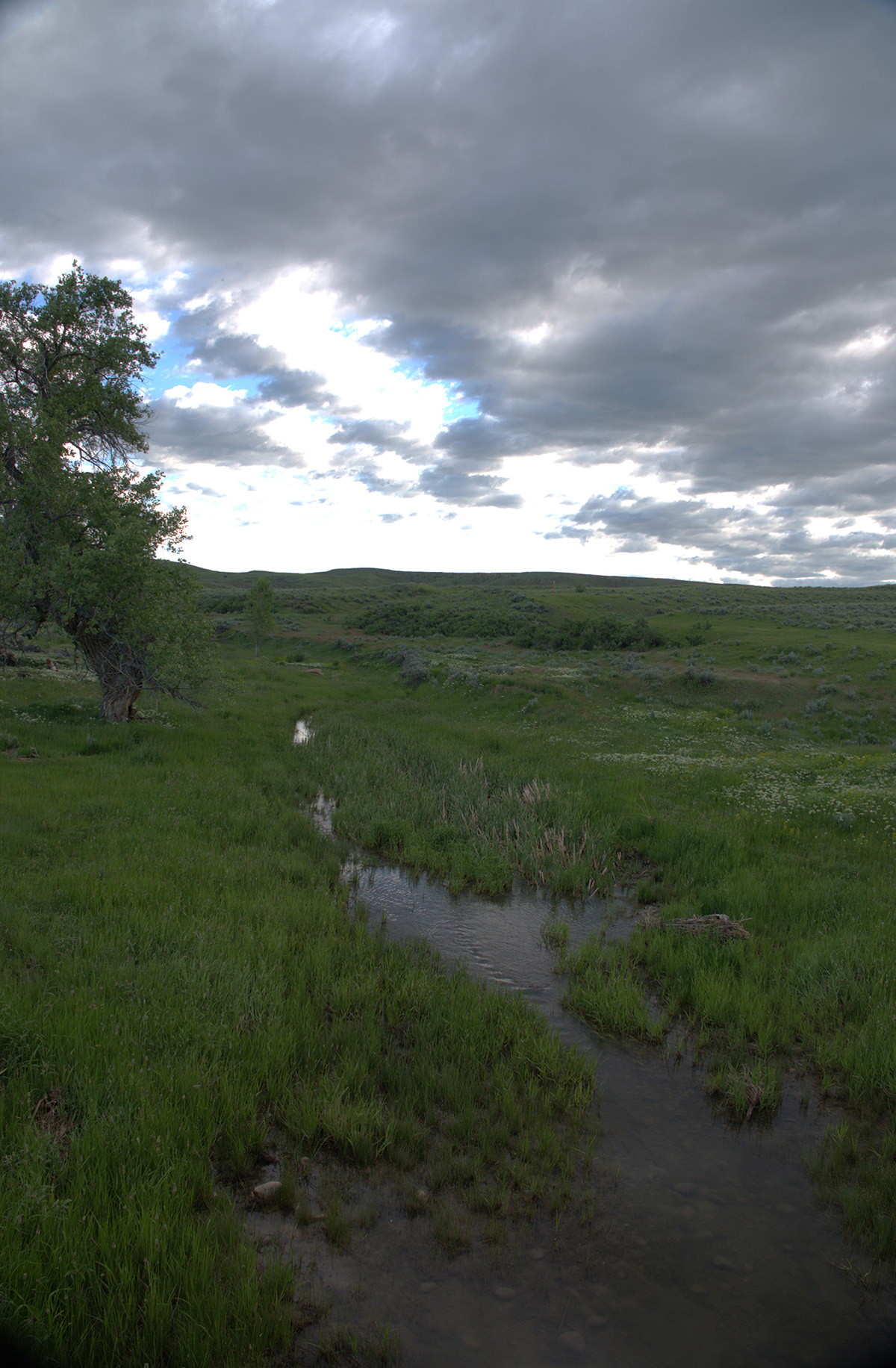Steinmetz Farm property picture 19 of 28