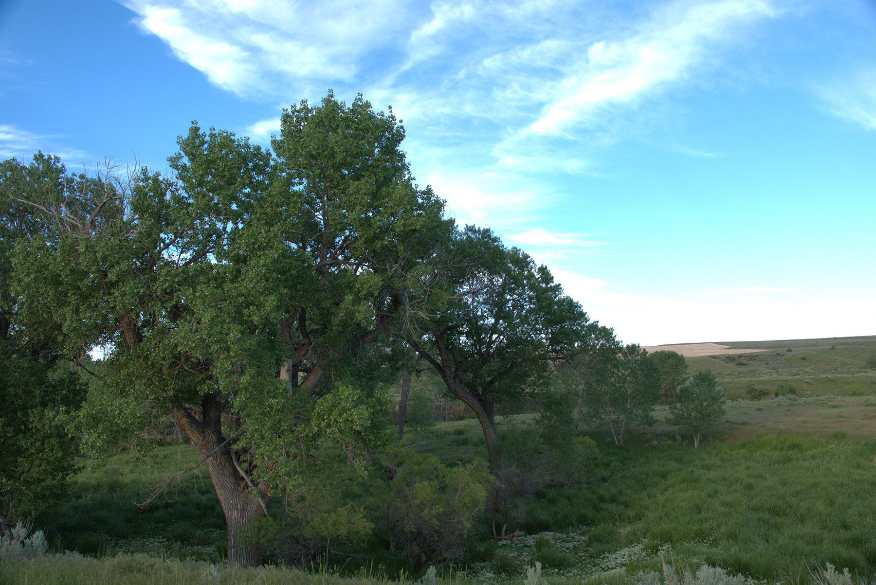 Steinmetz Farm property picture 22 of 28