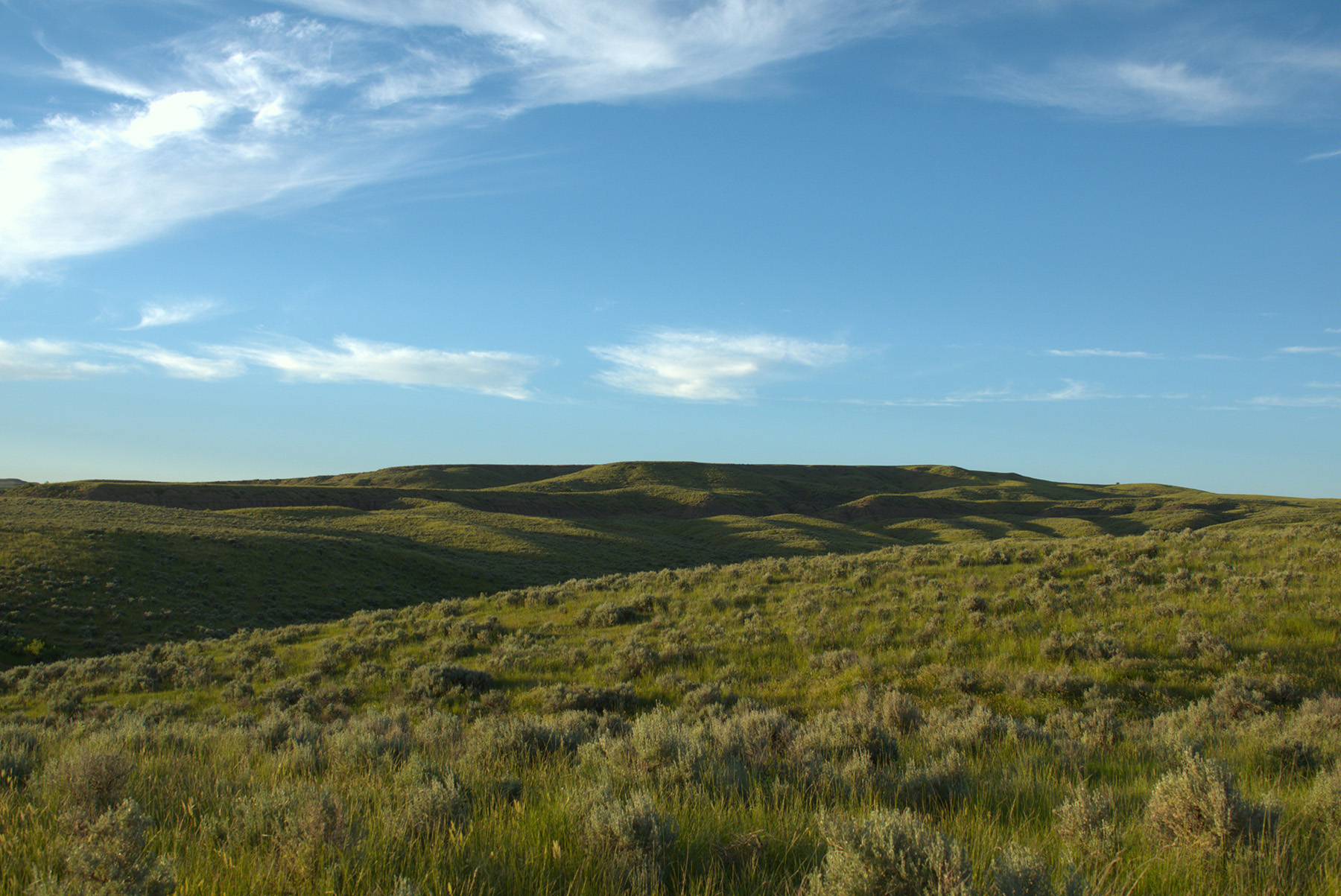 Steinmetz Farm property picture 26 of 28