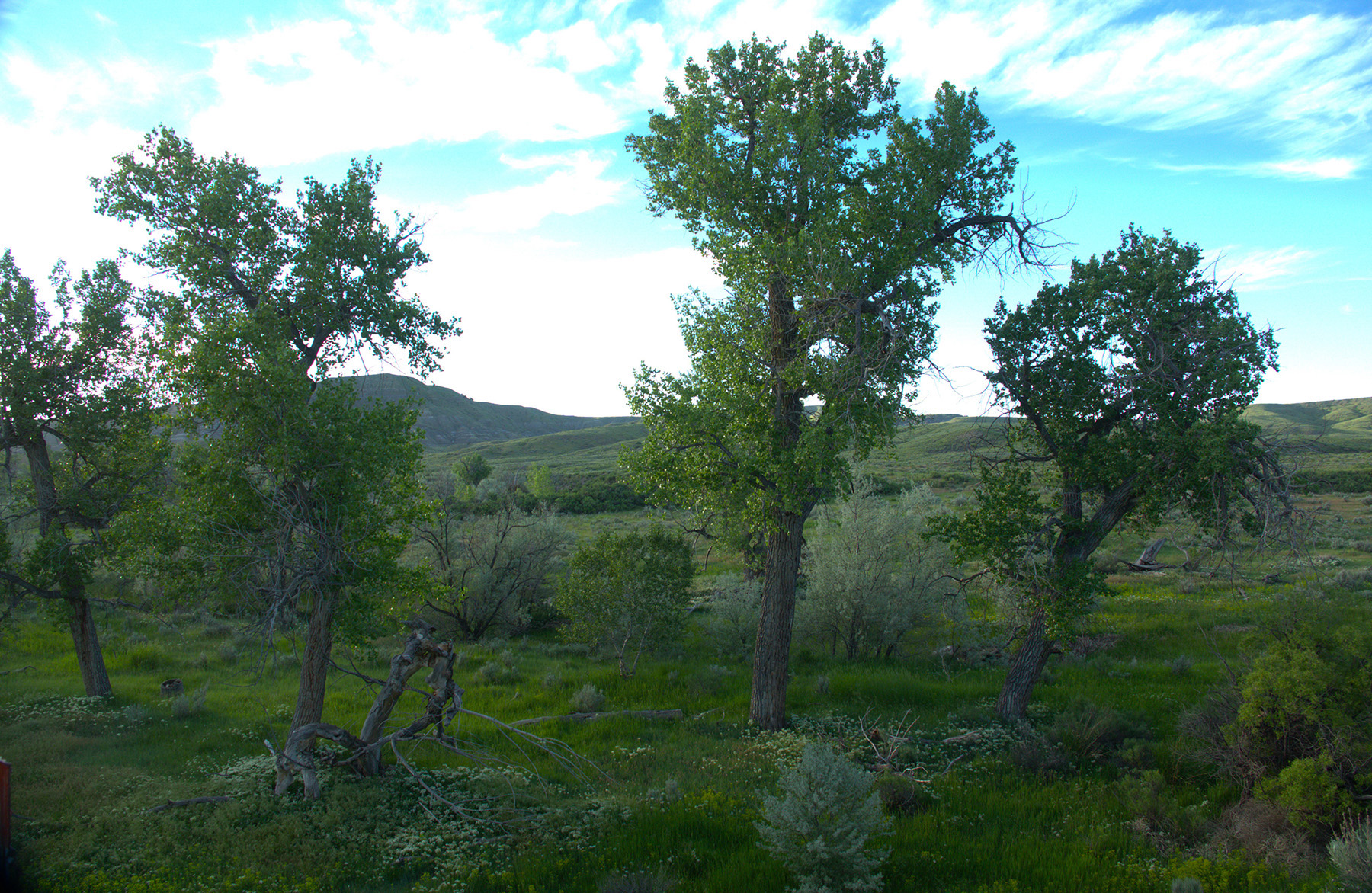 Steinmetz Farm property picture 5 of 28