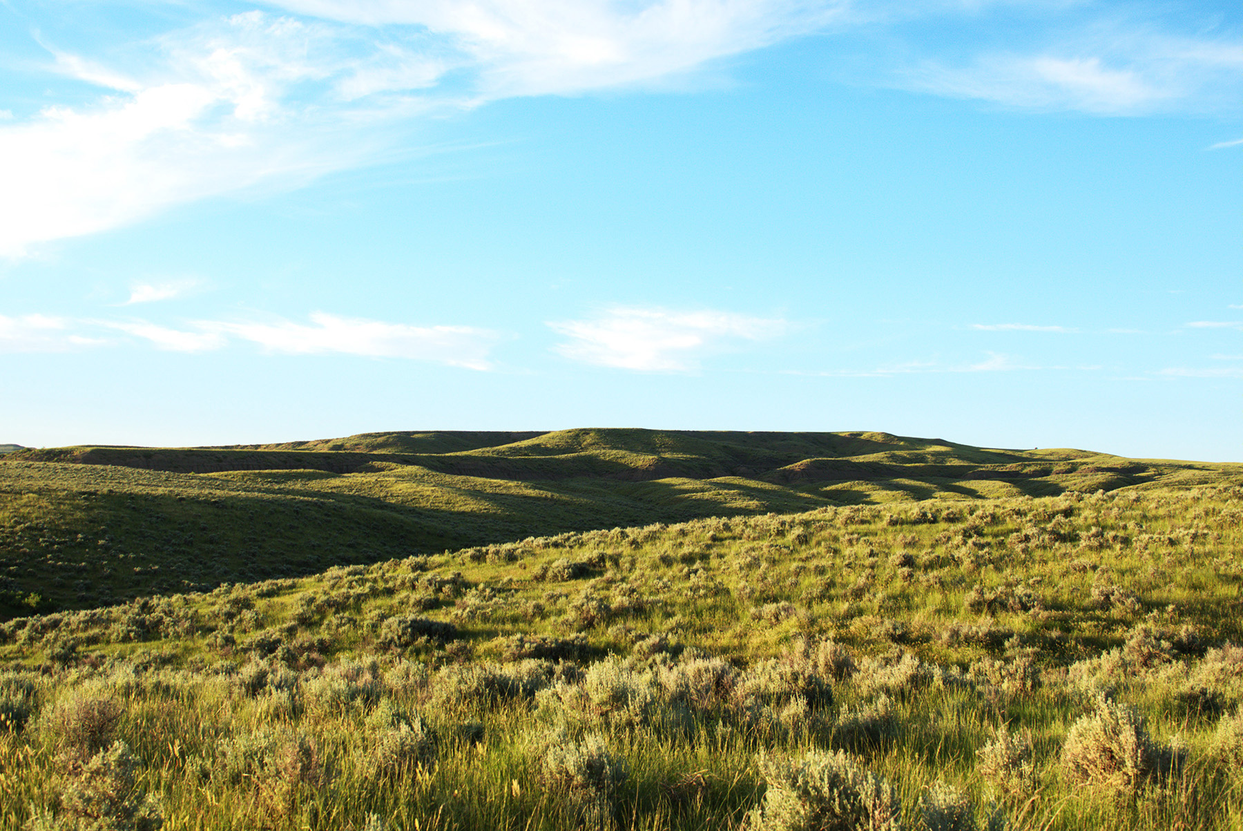 Steinmetz Farm property picture 12 of 28
