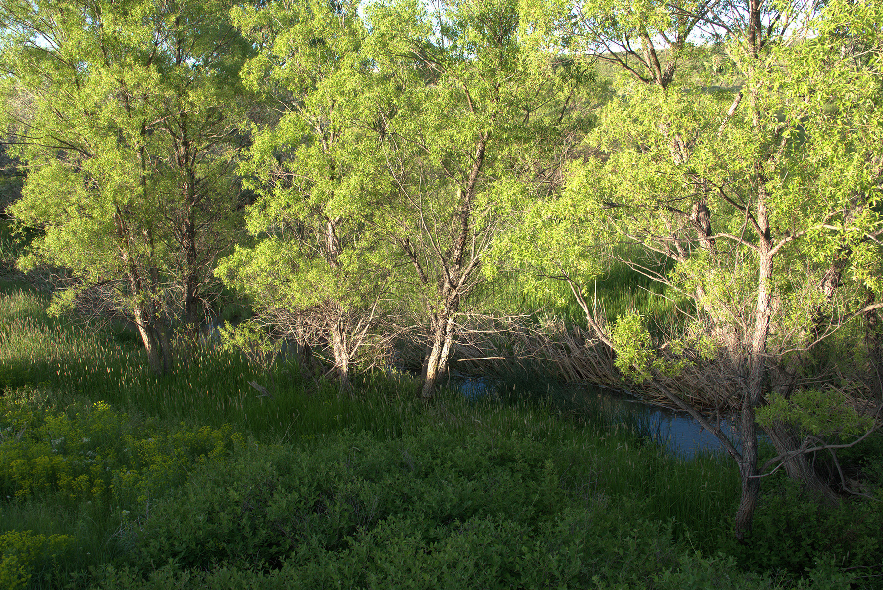 Steinmetz Farm property picture 4 of 28