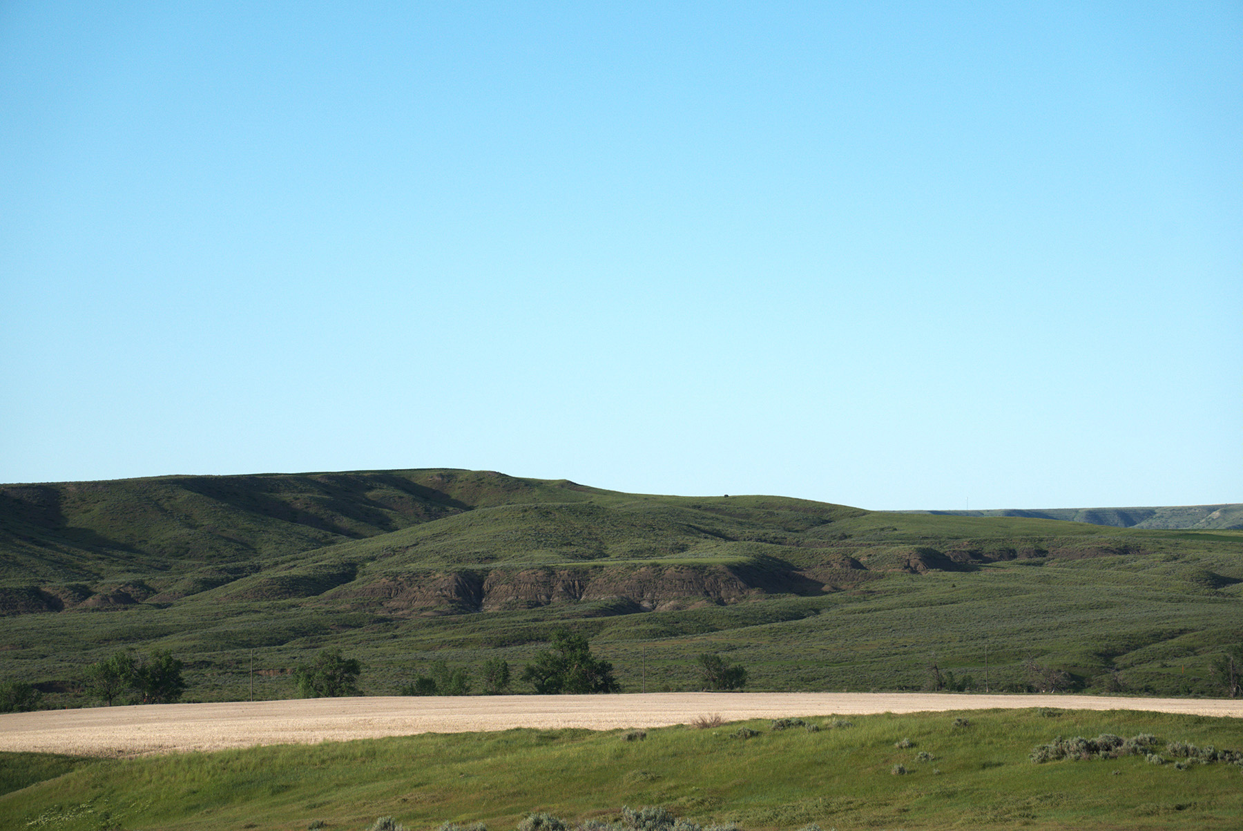 Steinmetz Farm property picture 8 of 28