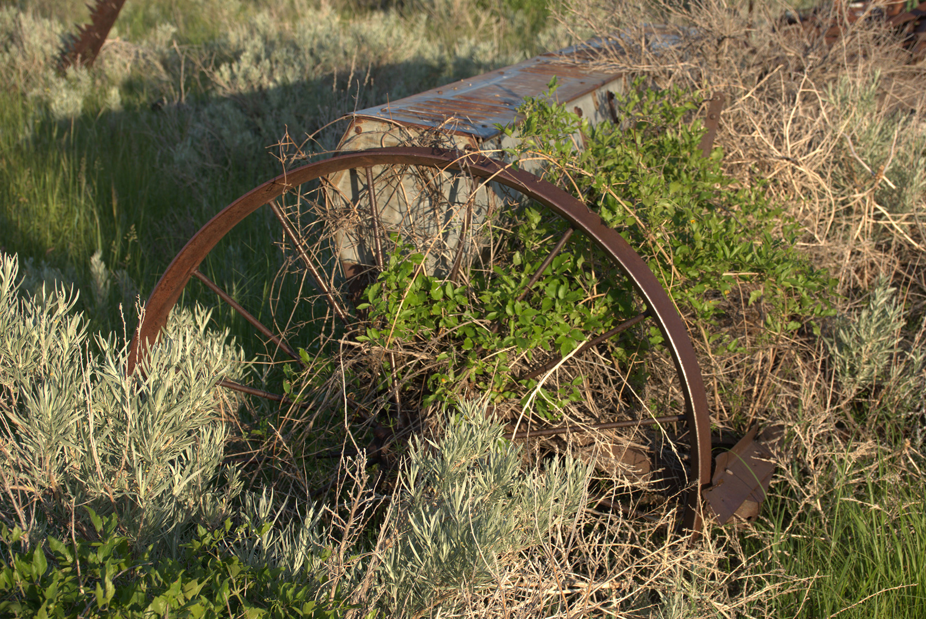 Steinmetz Farm property picture 3 of 28