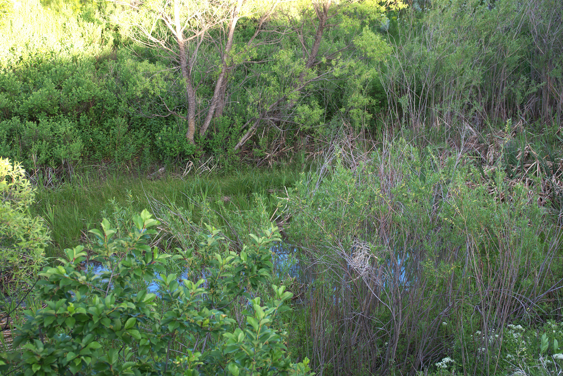 Steinmetz Farm property picture 25 of 28