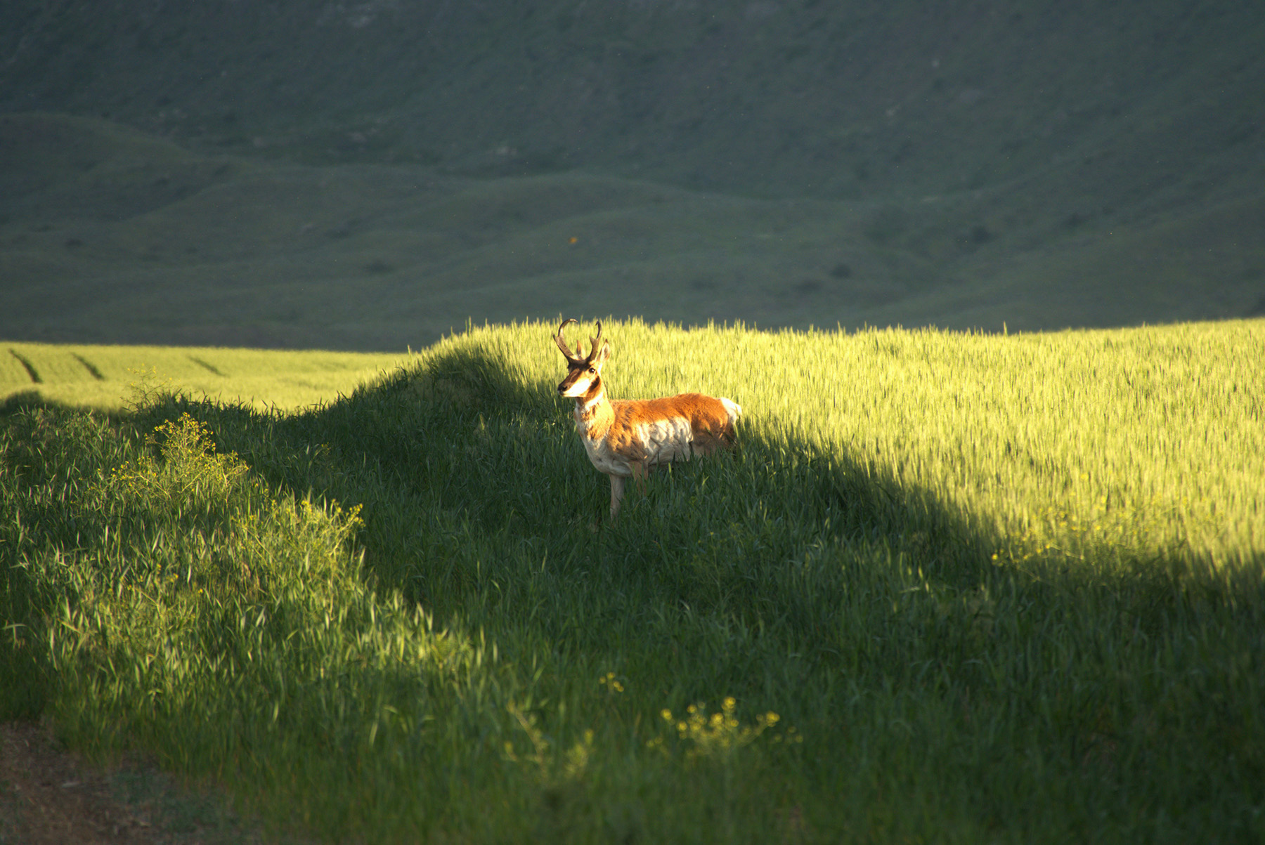 Steinmetz Farm property picture 23 of 28