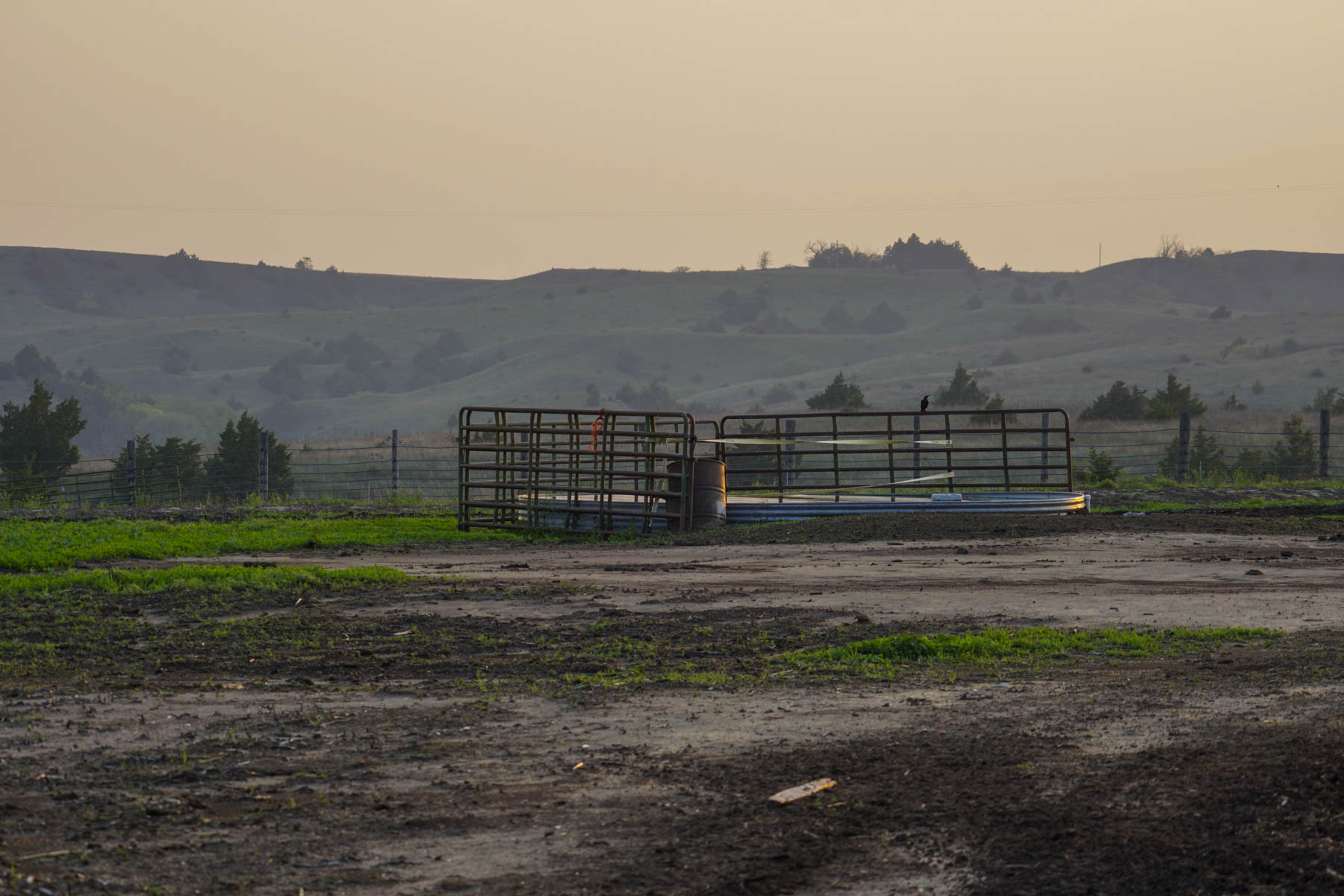 Spring Creek Canyon Ranch property picture 40 of 73