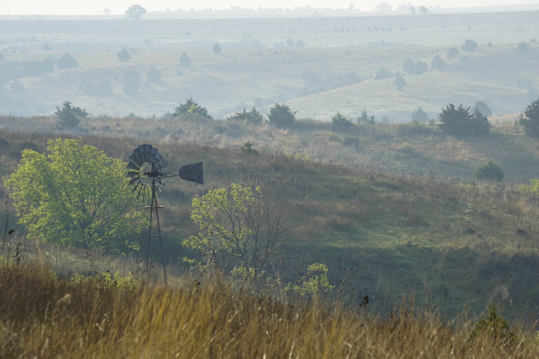 Spring Creek Canyon Ranch property picture 44 of 73
