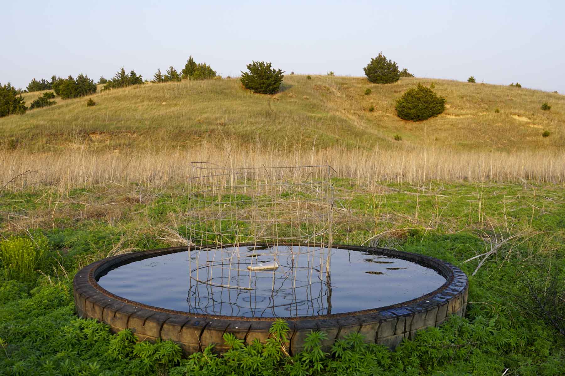 Spring Creek Canyon Ranch property picture 28 of 73