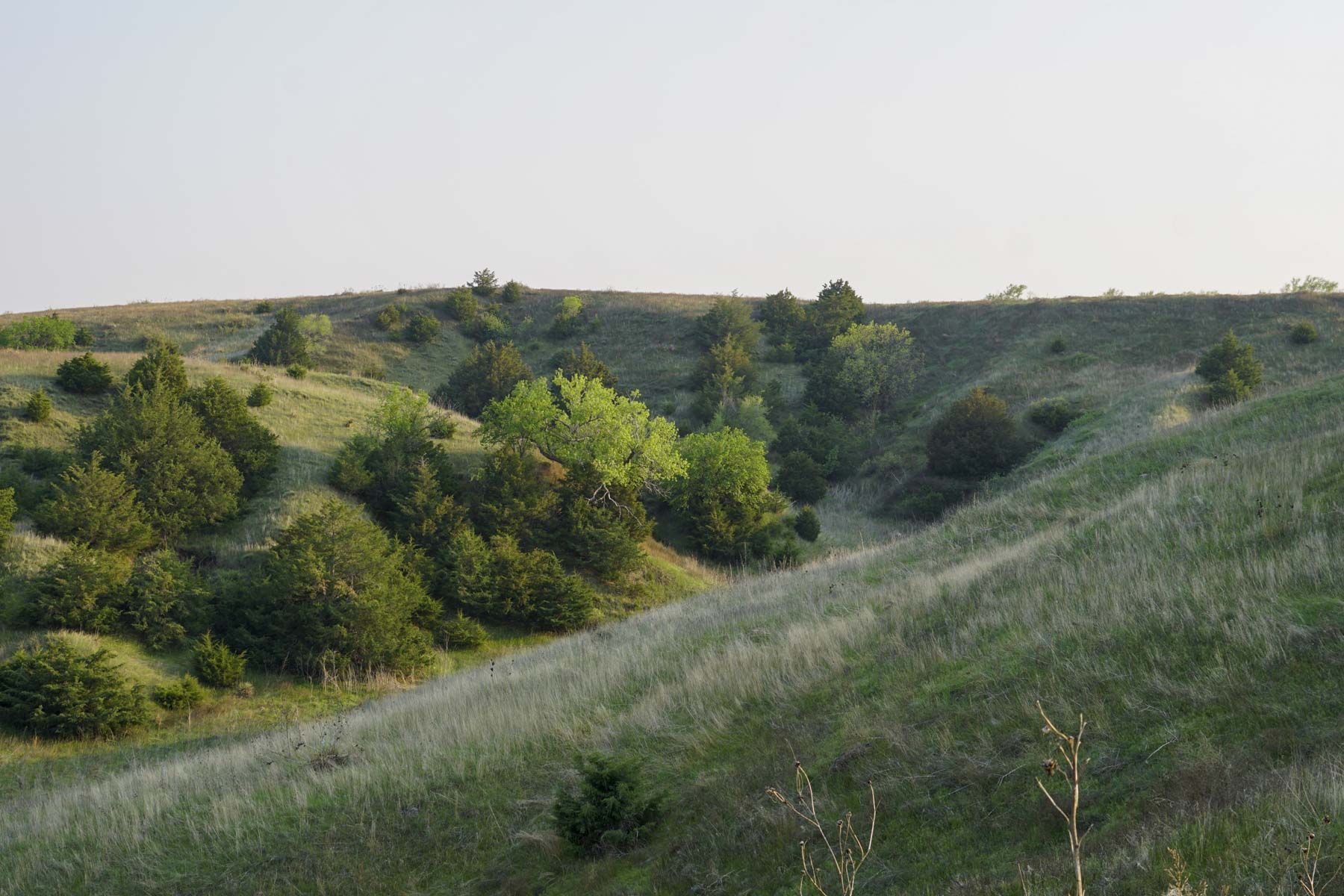 Spring Creek Canyon Ranch property picture 61 of 73