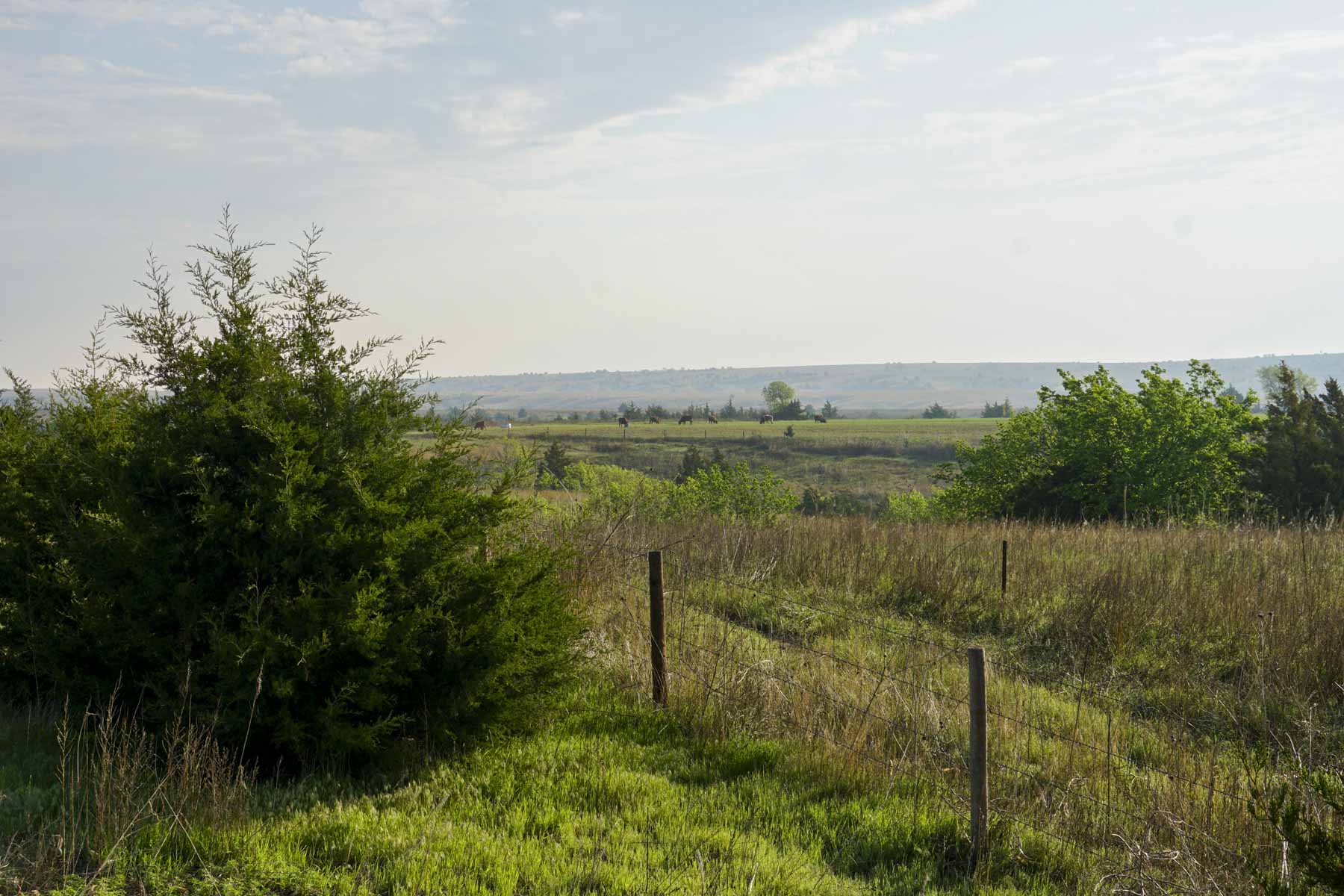 Spring Creek Canyon Ranch property picture 16 of 73