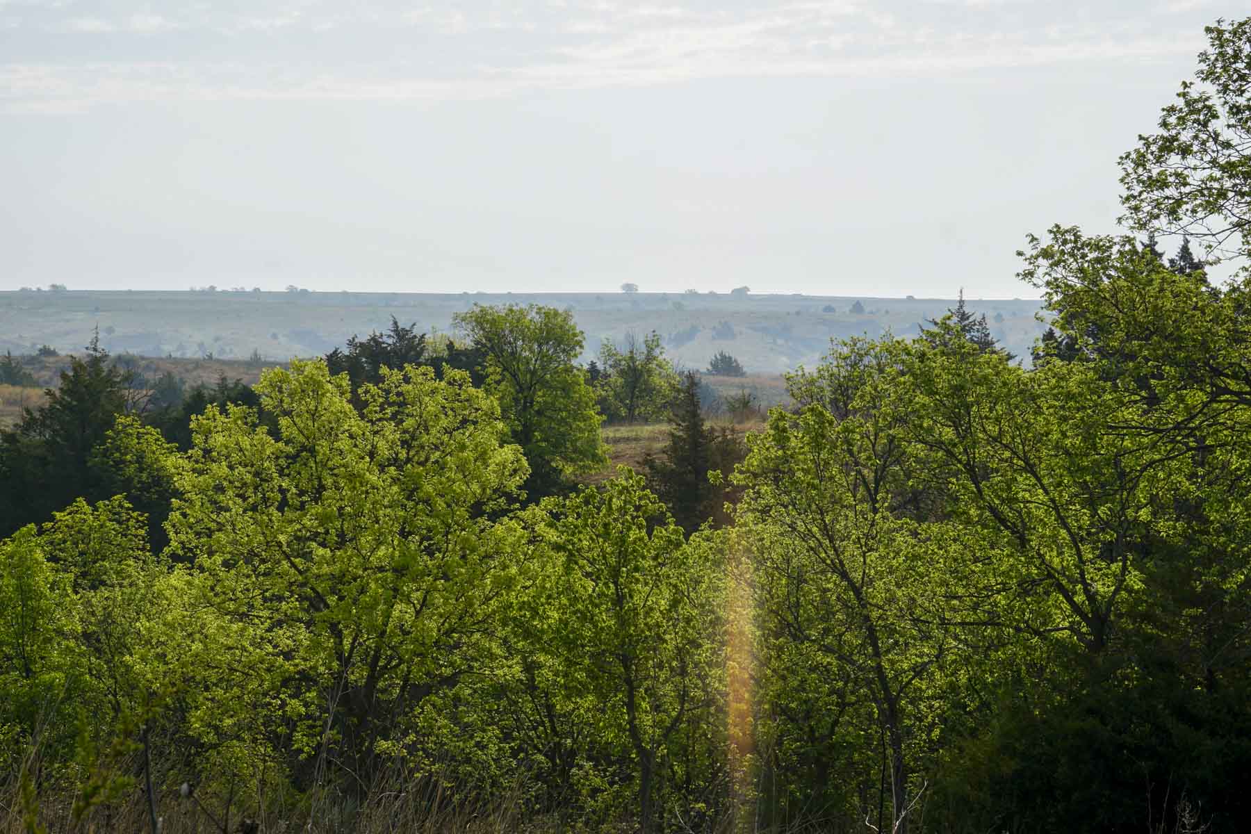 Spring Creek Canyon Ranch property picture 57 of 73