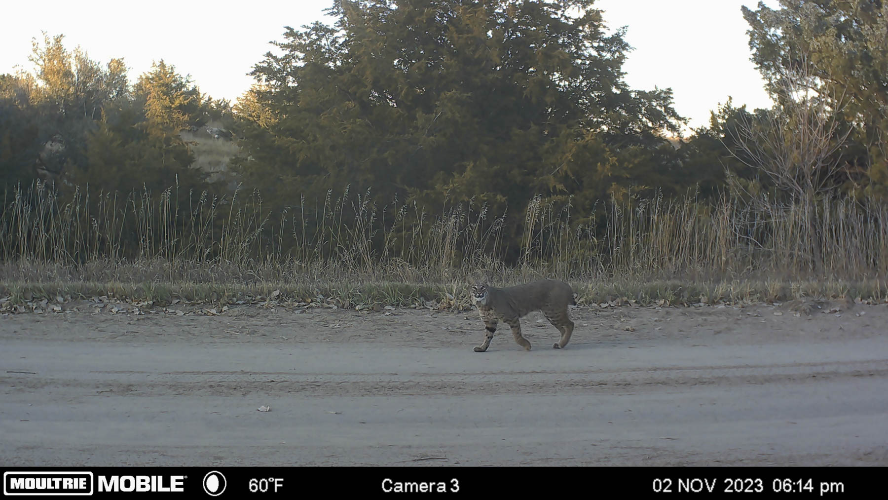 Spring Creek Canyon Ranch property picture 47 of 73