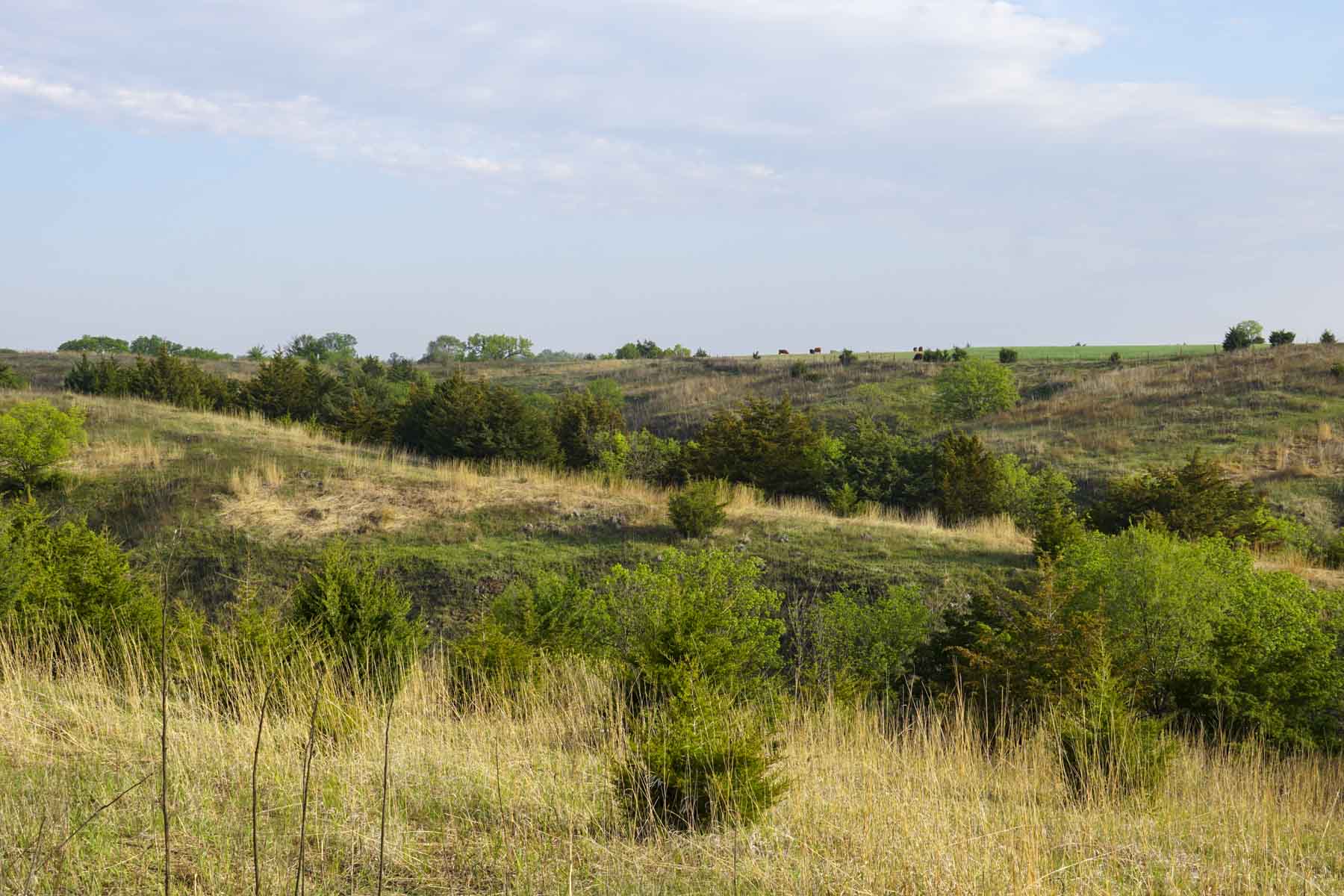Spring Creek Canyon Ranch property picture 17 of 73