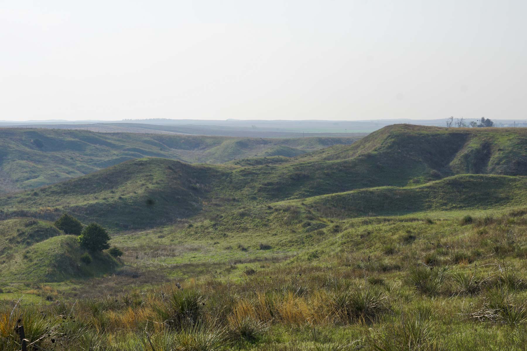 Spring Creek Canyon Ranch property picture 63 of 73