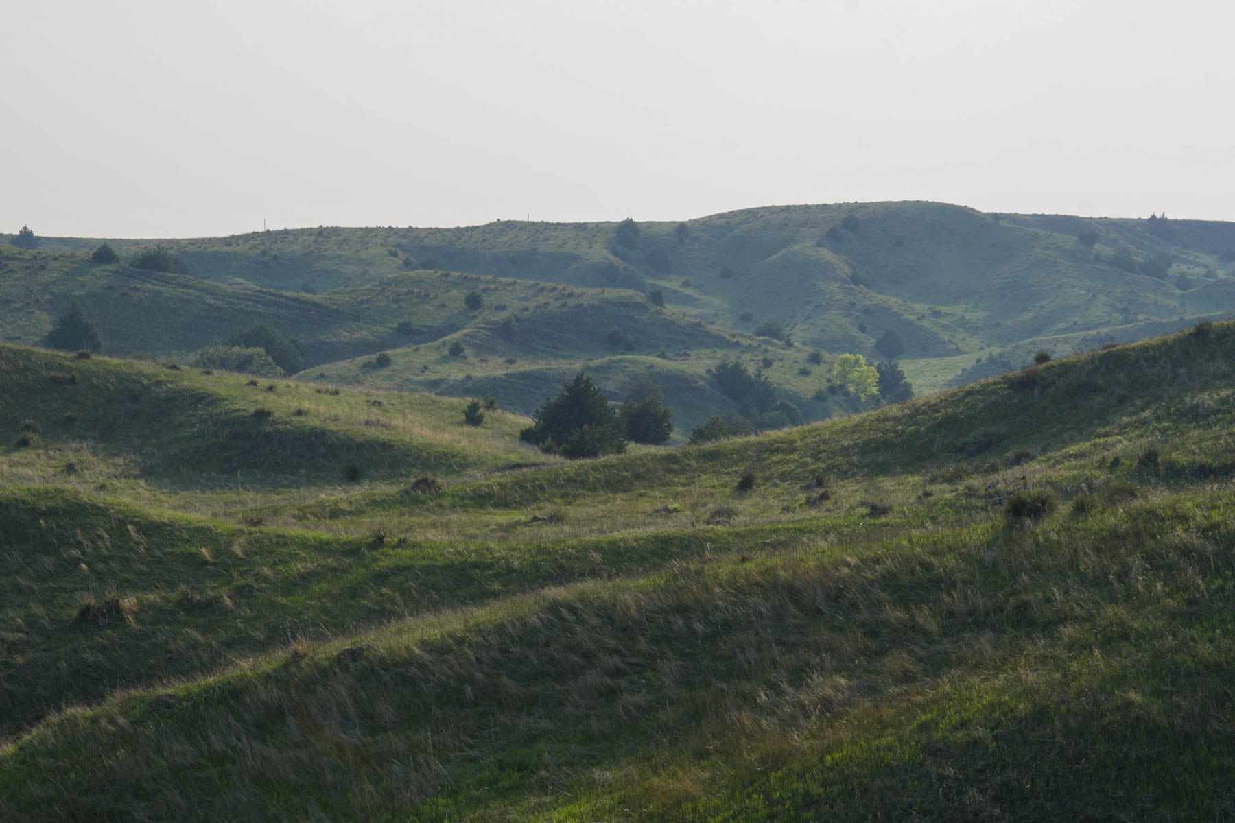 Spring Creek Canyon Ranch property picture 62 of 73