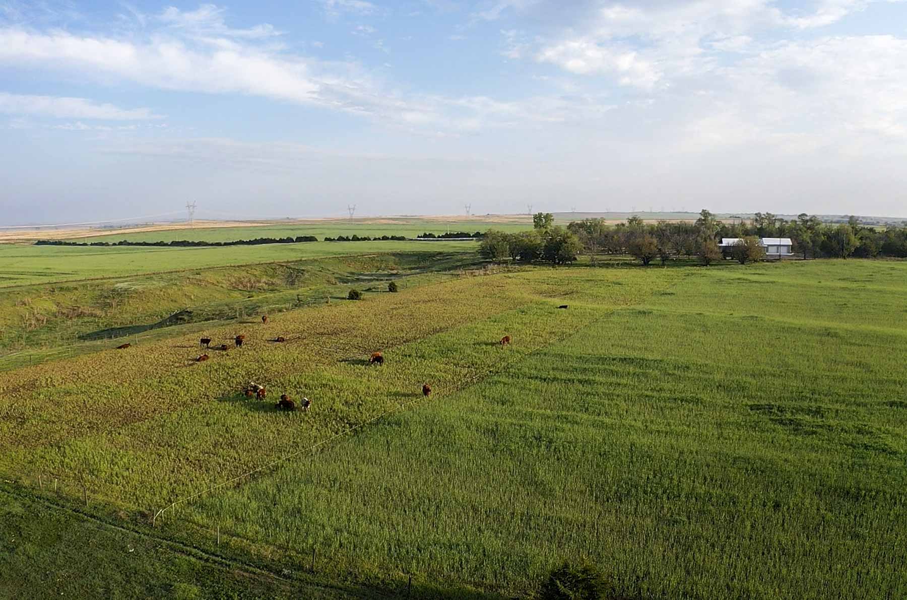 Spring Creek Canyon Ranch property picture 35 of 73