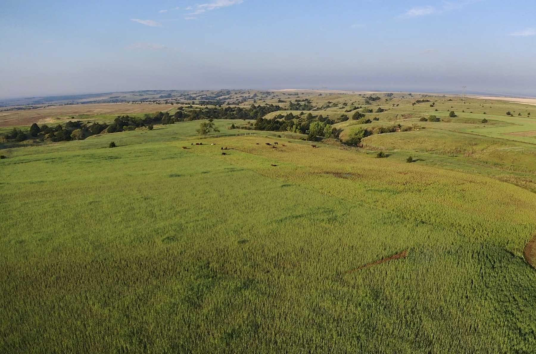 Spring Creek Canyon Ranch property picture 34 of 73