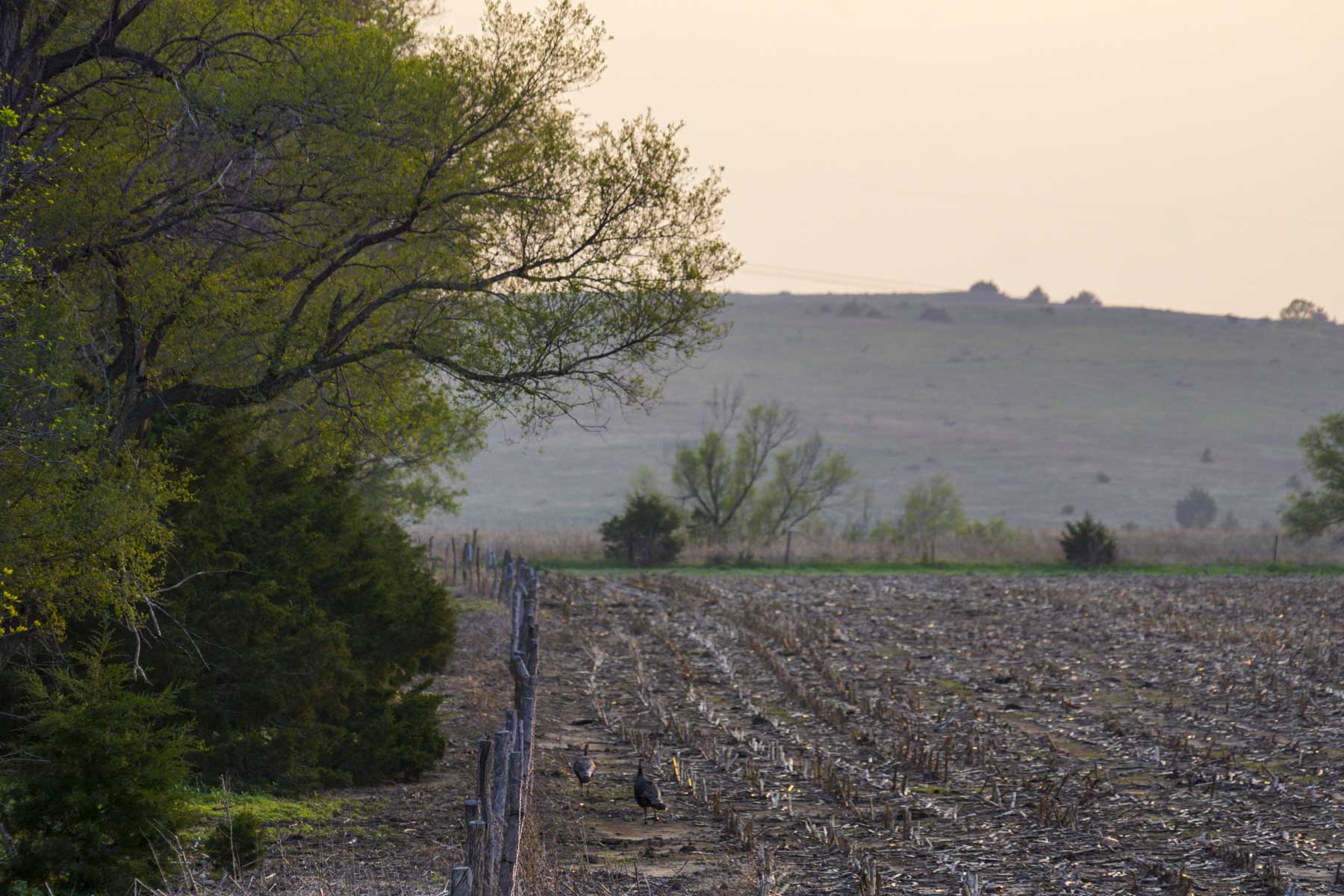 Spring Creek Canyon Ranch property picture 41 of 73