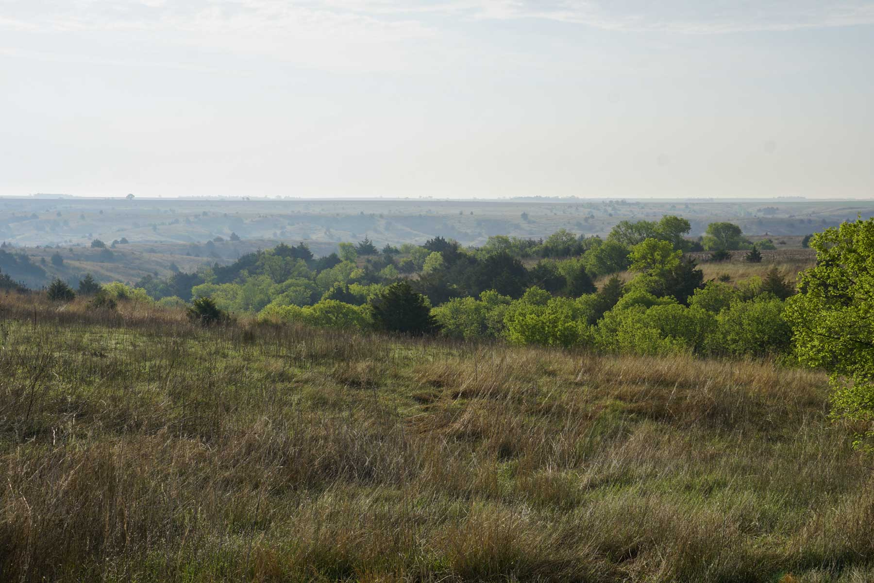 Spring Creek Canyon Ranch property picture 15 of 73