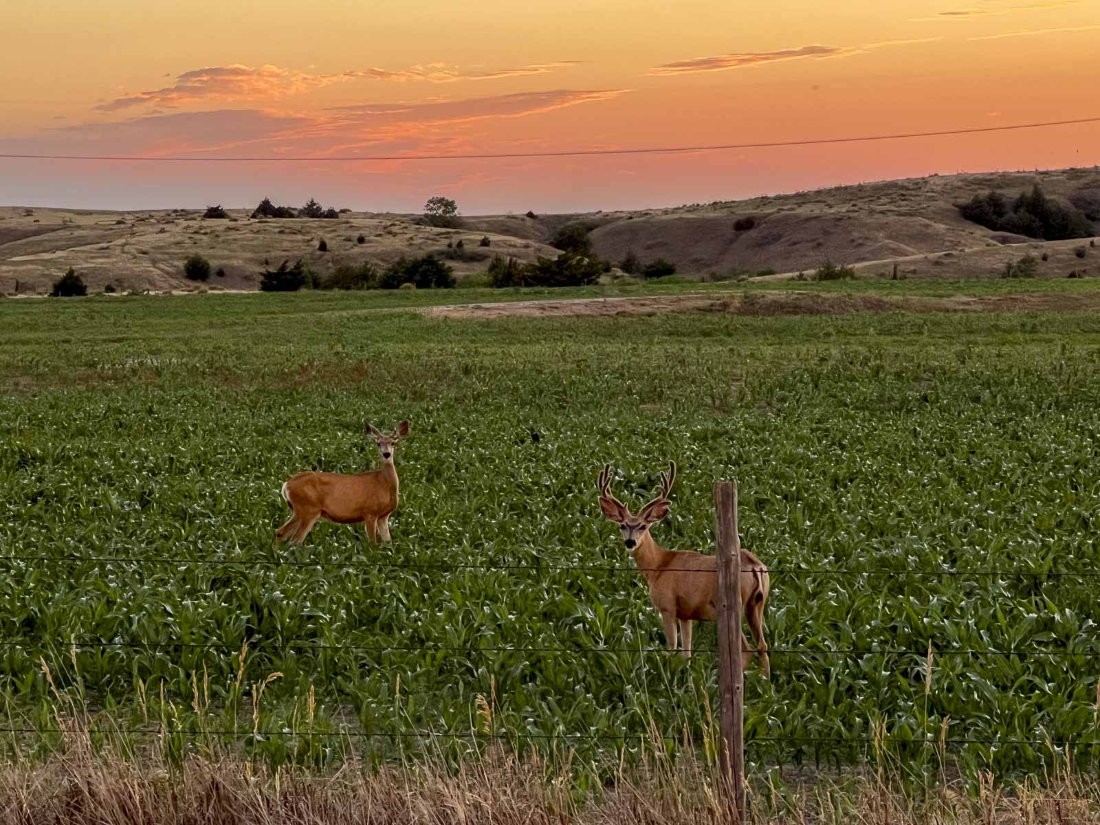 Spring Creek Canyon Ranch property picture 25 of 73