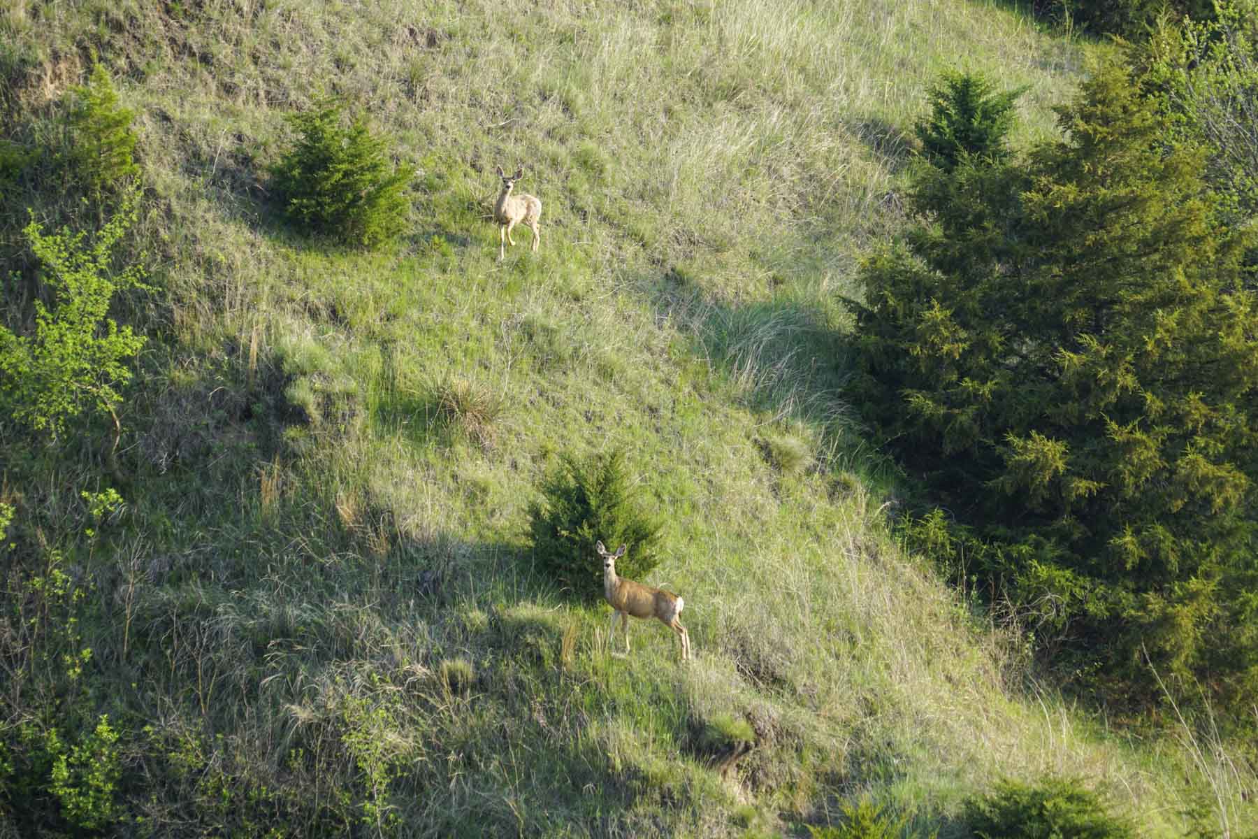 Spring Creek Canyon Ranch property picture 60 of 73