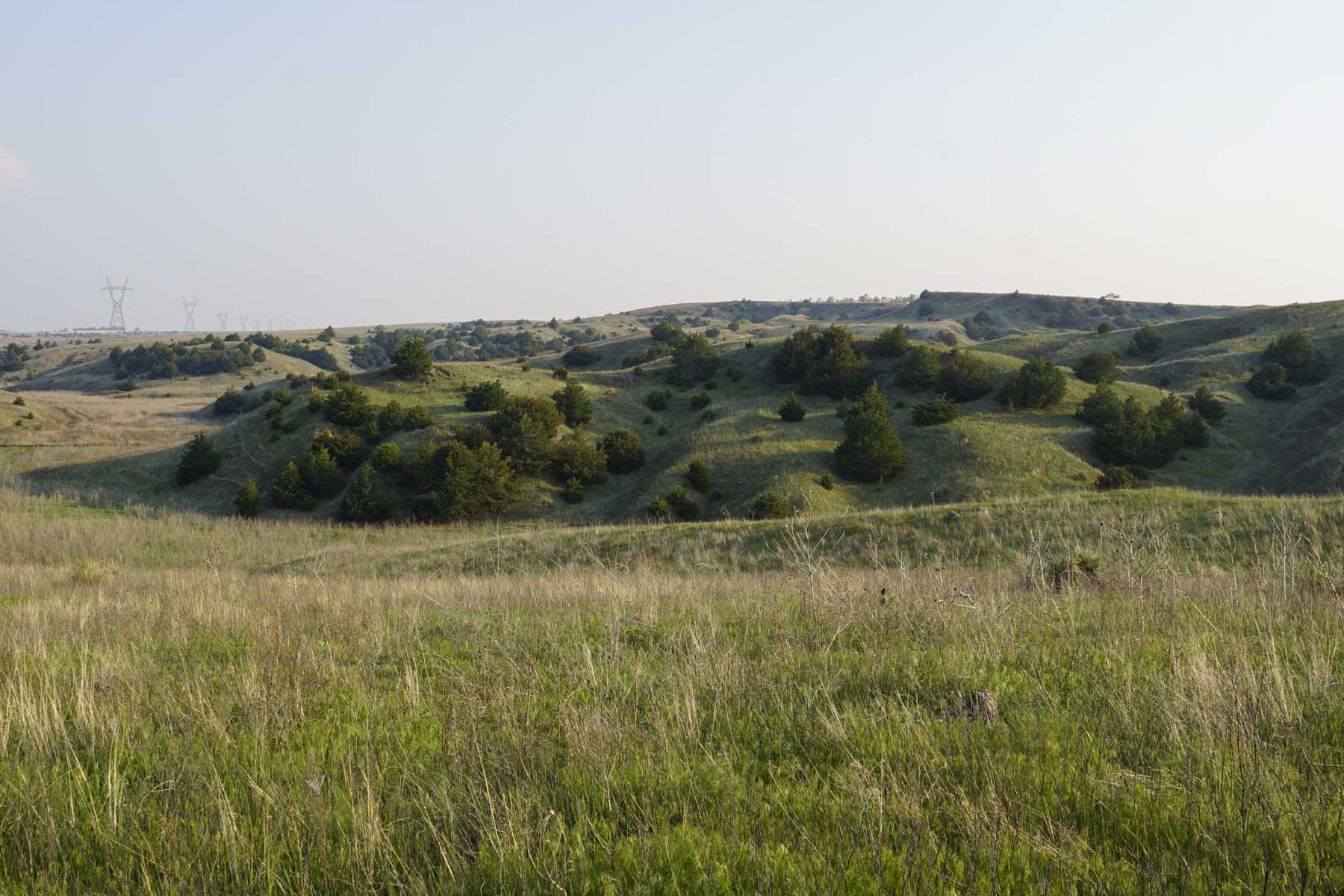 Spring Creek Canyon Ranch property picture 27 of 73
