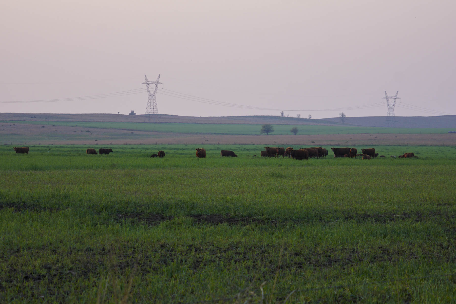 Spring Creek Canyon Ranch property picture 42 of 73