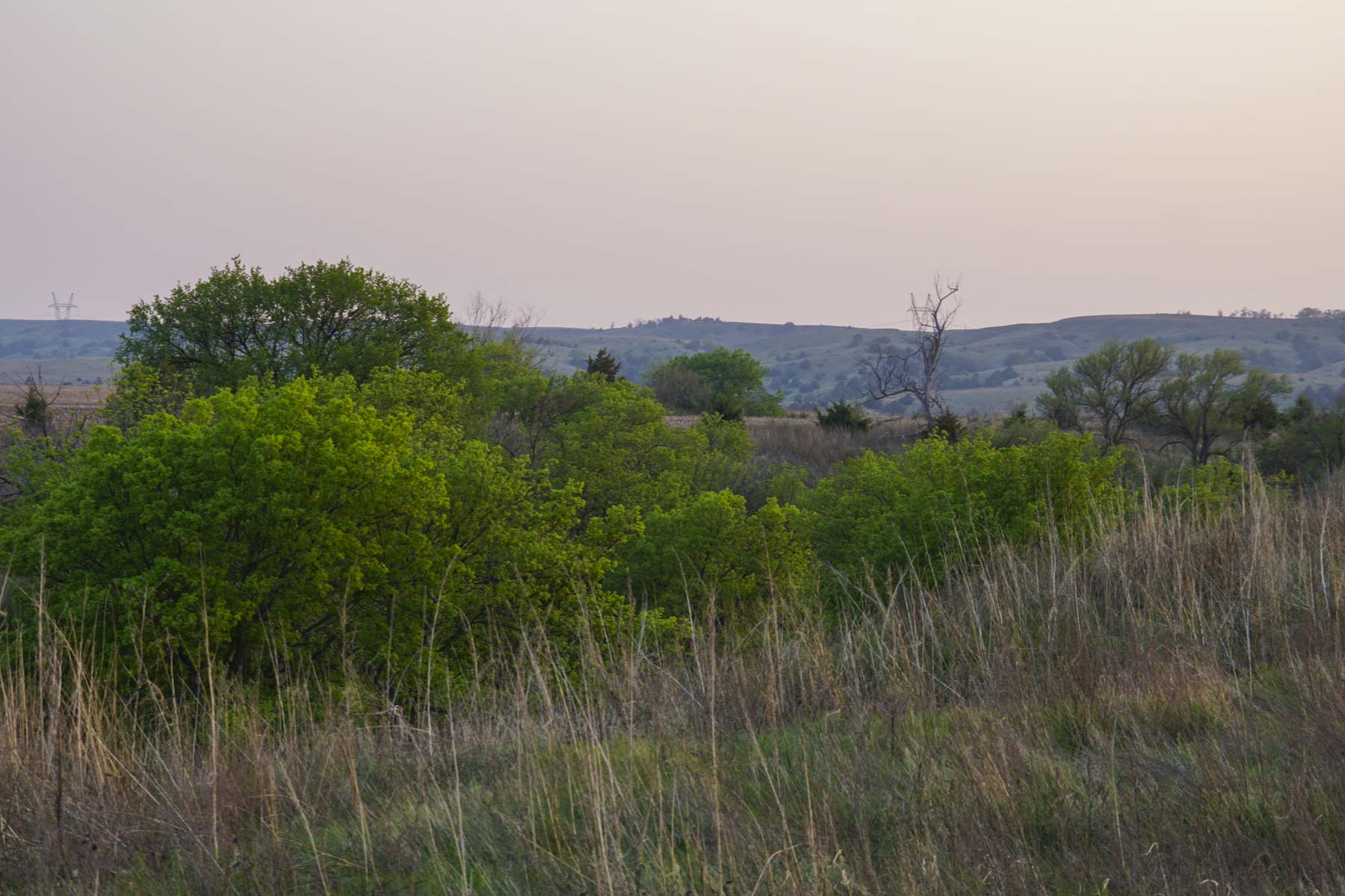 Spring Creek Canyon Ranch property picture 43 of 73