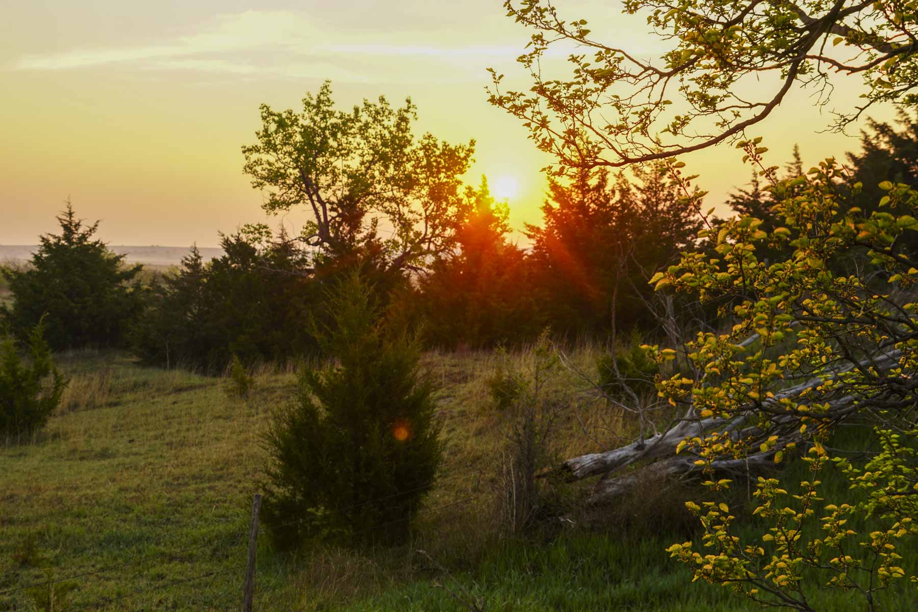 Spring Creek Canyon Ranch property picture 12 of 73