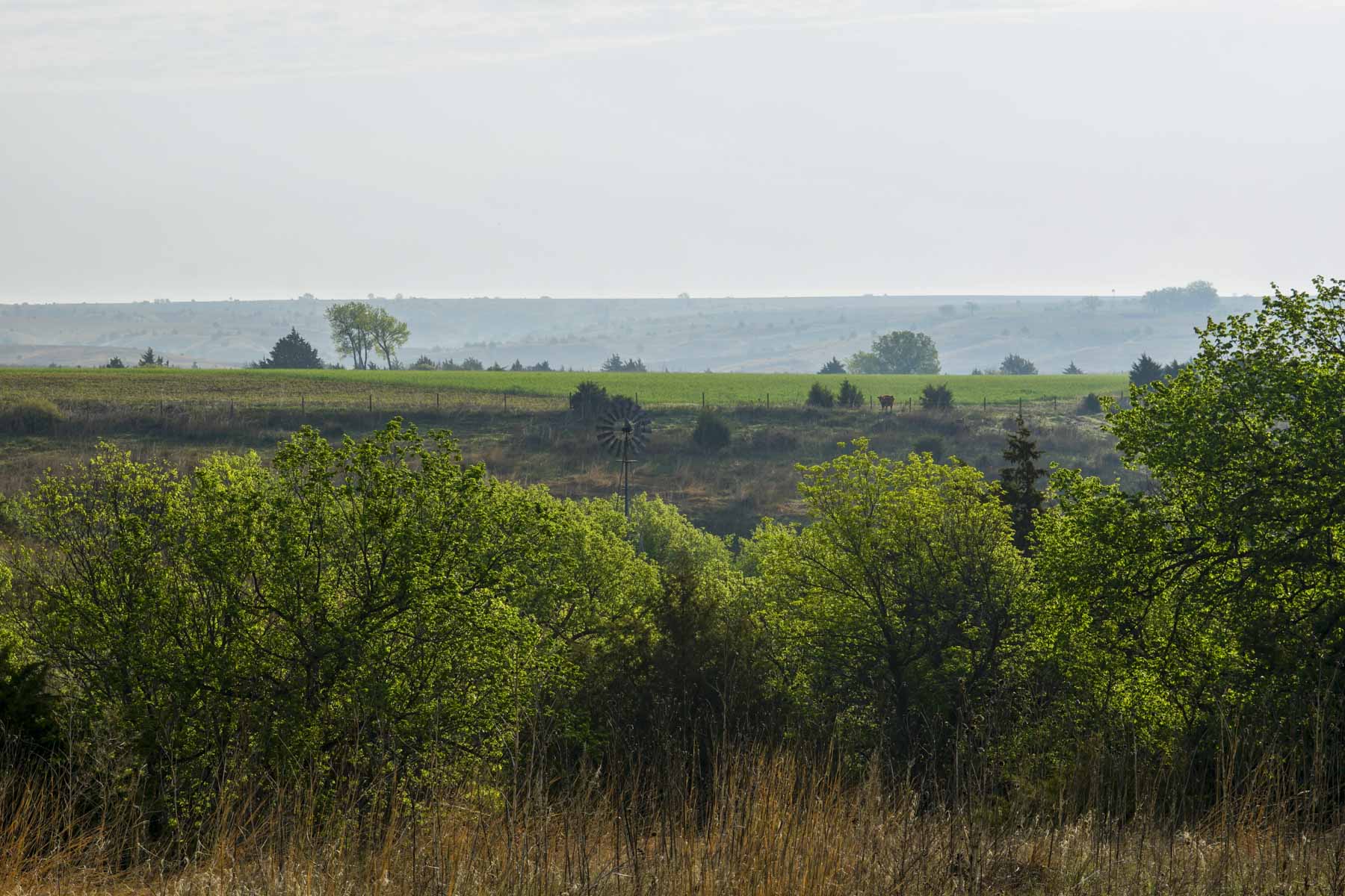 Spring Creek Canyon Ranch property picture 13 of 73