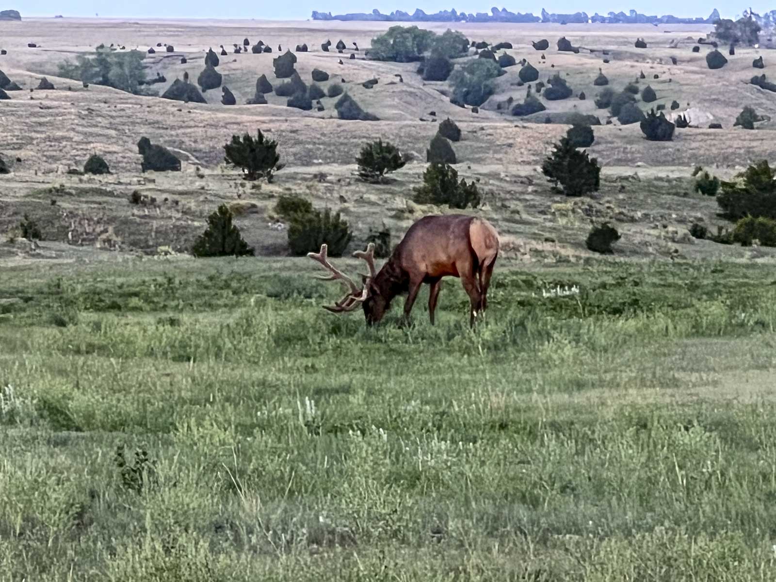 Spring Creek Canyon Ranch property picture 48 of 73