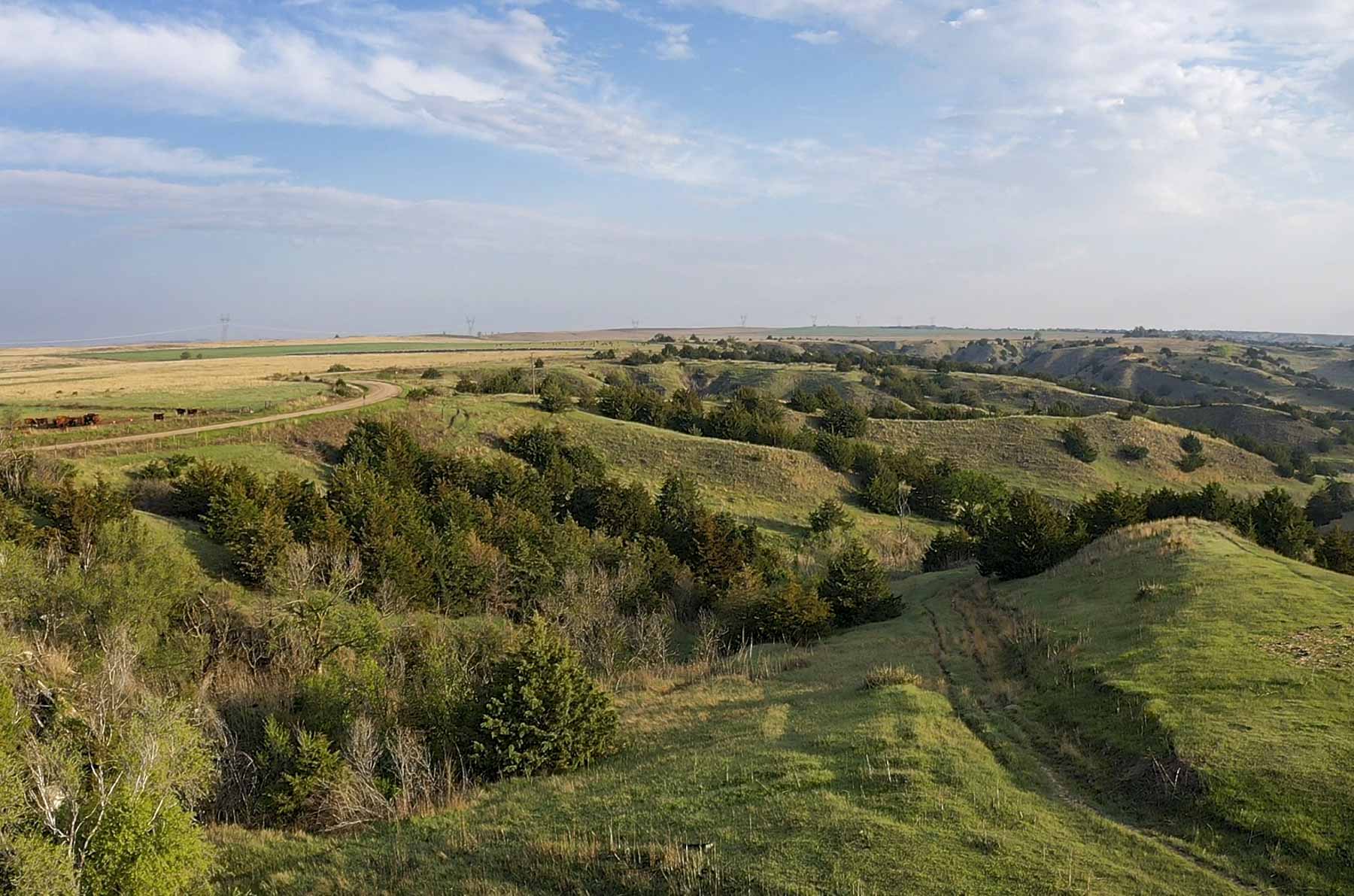 Spring Creek Canyon Ranch property picture 30 of 73