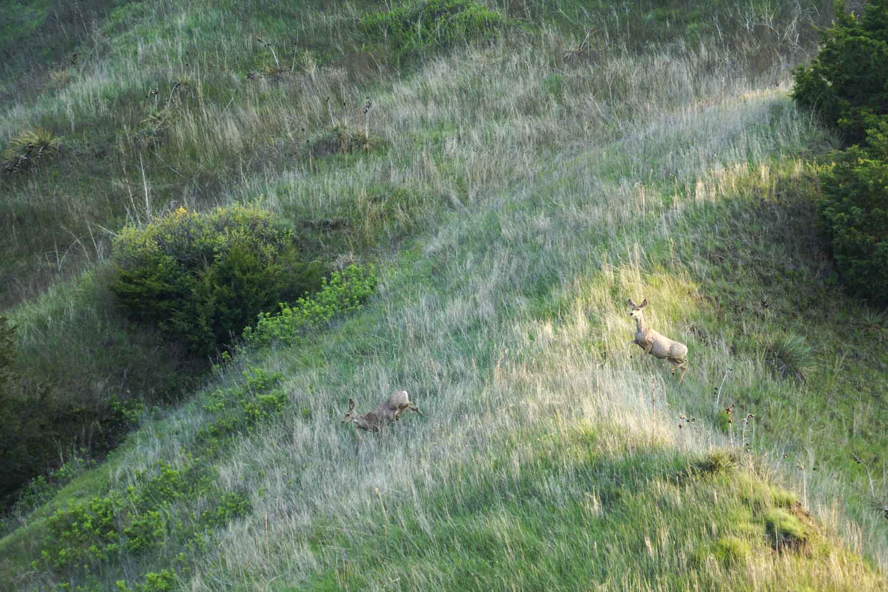 Spring Creek Canyon Ranch property picture 37 of 73