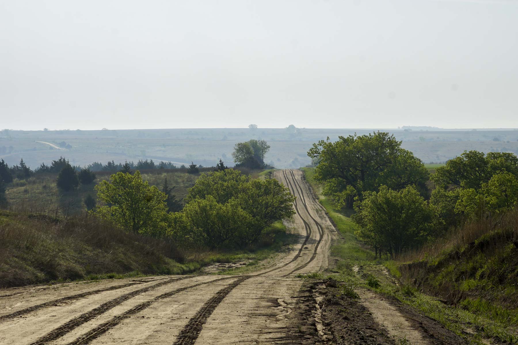 Spring Creek Canyon Ranch property picture 56 of 73