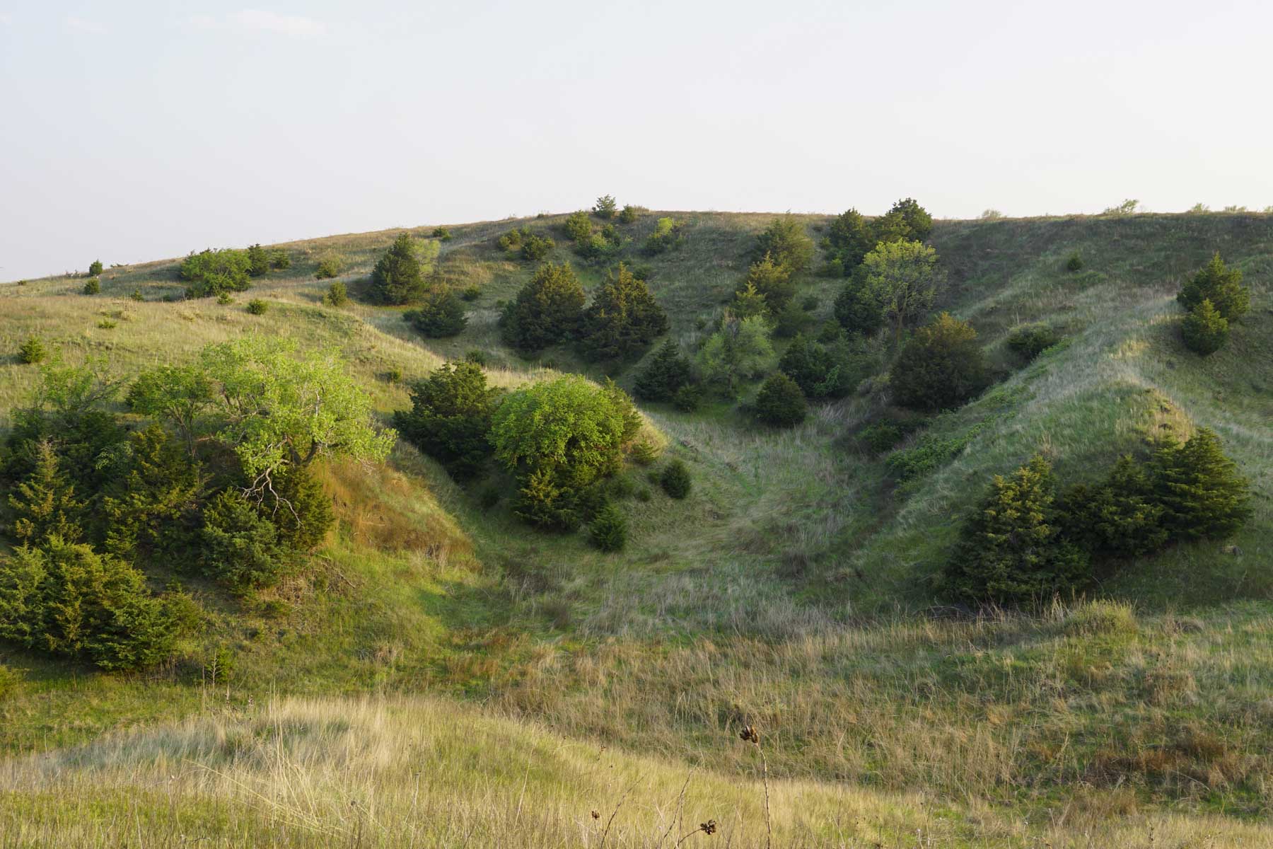 Spring Creek Canyon Ranch property picture 7 of 73