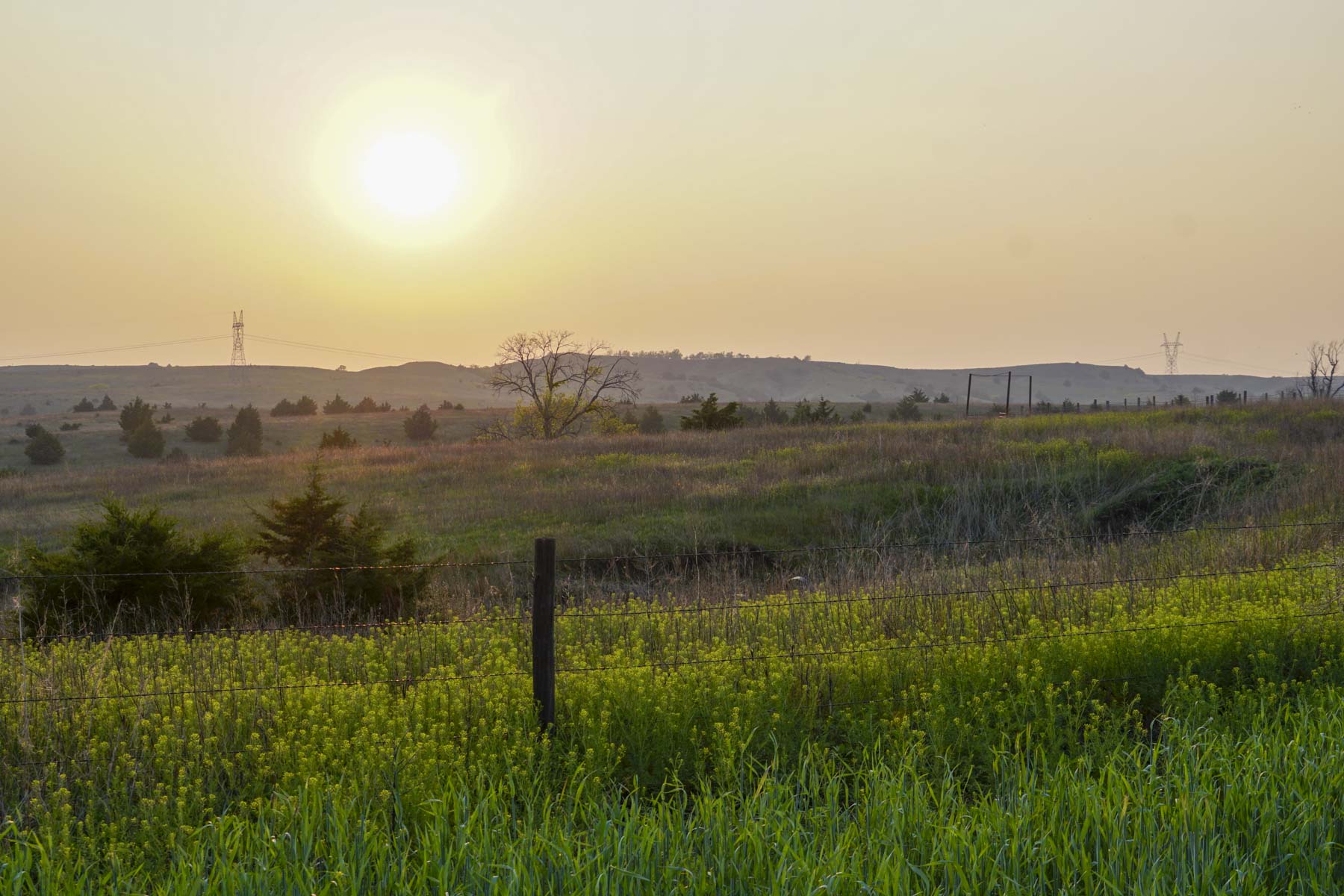 Spring Creek Canyon Ranch property picture 36 of 73