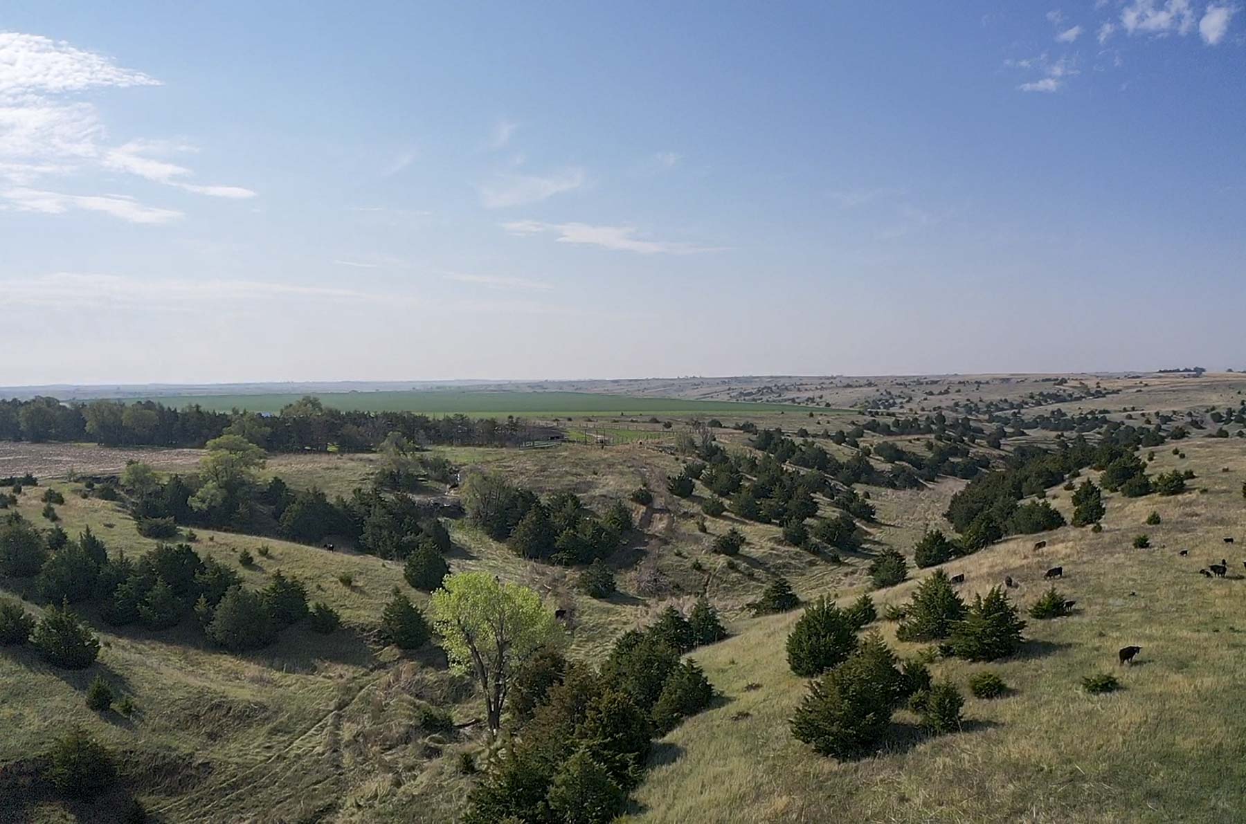 Spring Creek Canyon Ranch property picture 3 of 73
