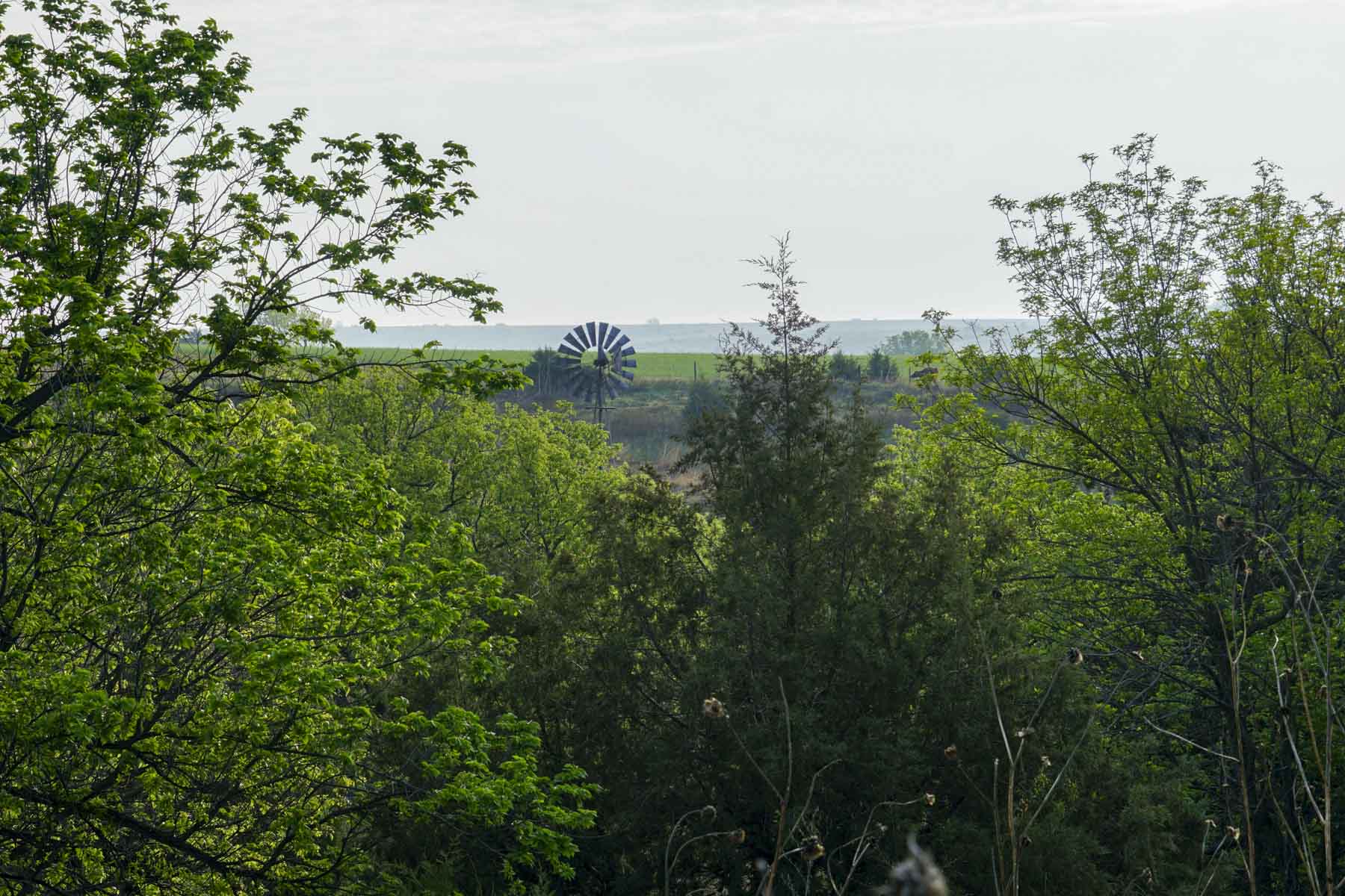 Spring Creek Canyon Ranch property picture 14 of 73