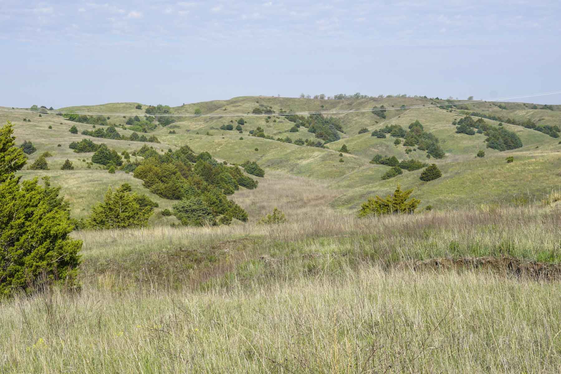 Spring Creek Canyon Ranch property picture 58 of 73