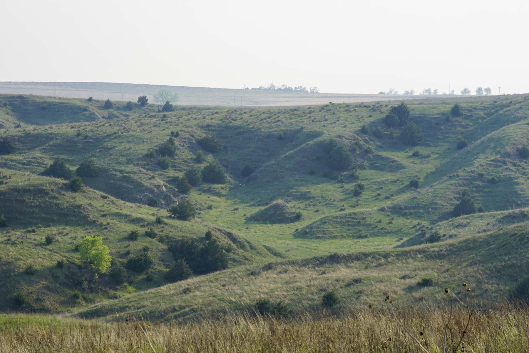 Spring Creek Canyon Ranch property picture 6 of 73