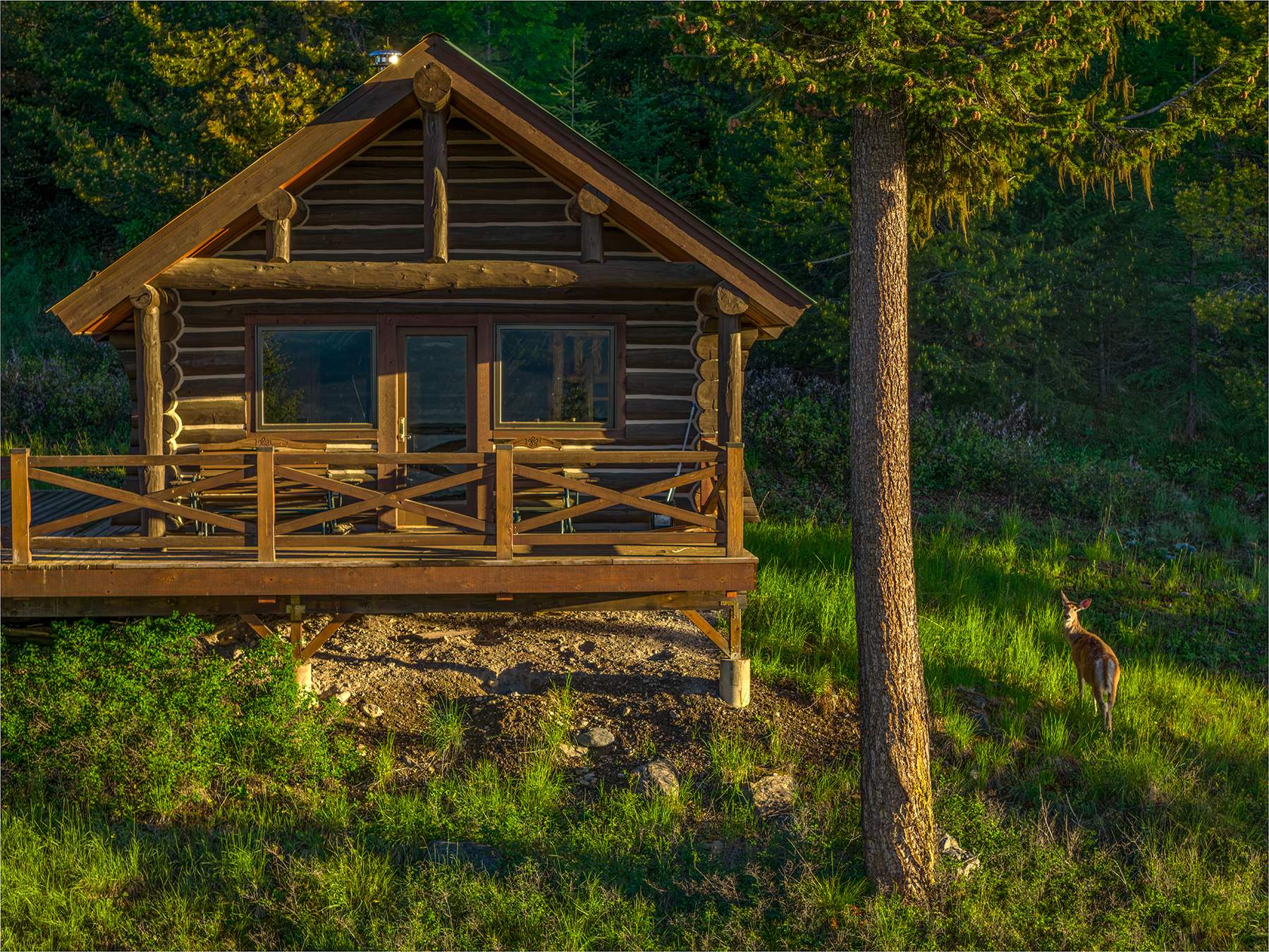 Star Meadows Retreat property picture 70 of 75